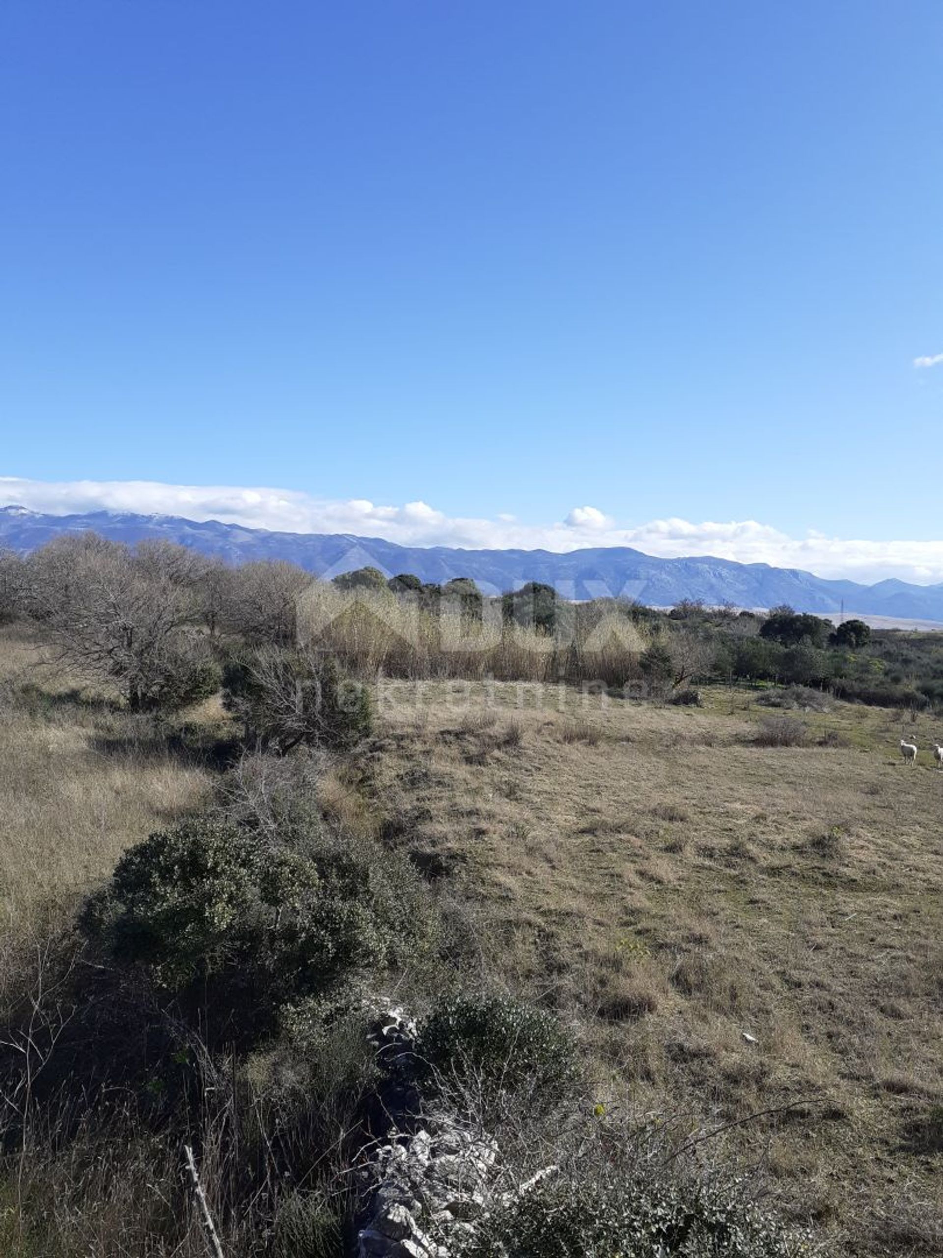 Land in Kolanjski Gajac, Zadar County 11613773