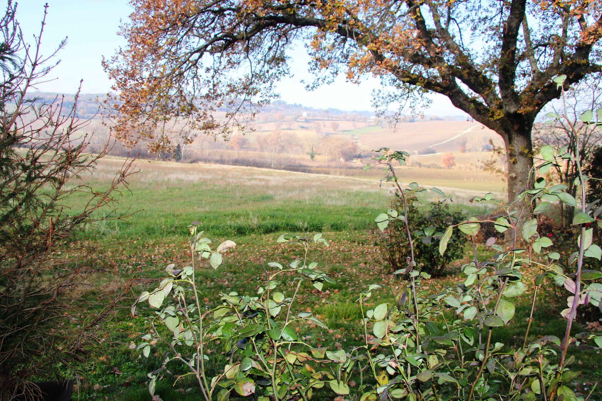 Talo sisään Montefalco, Umbria 11614176