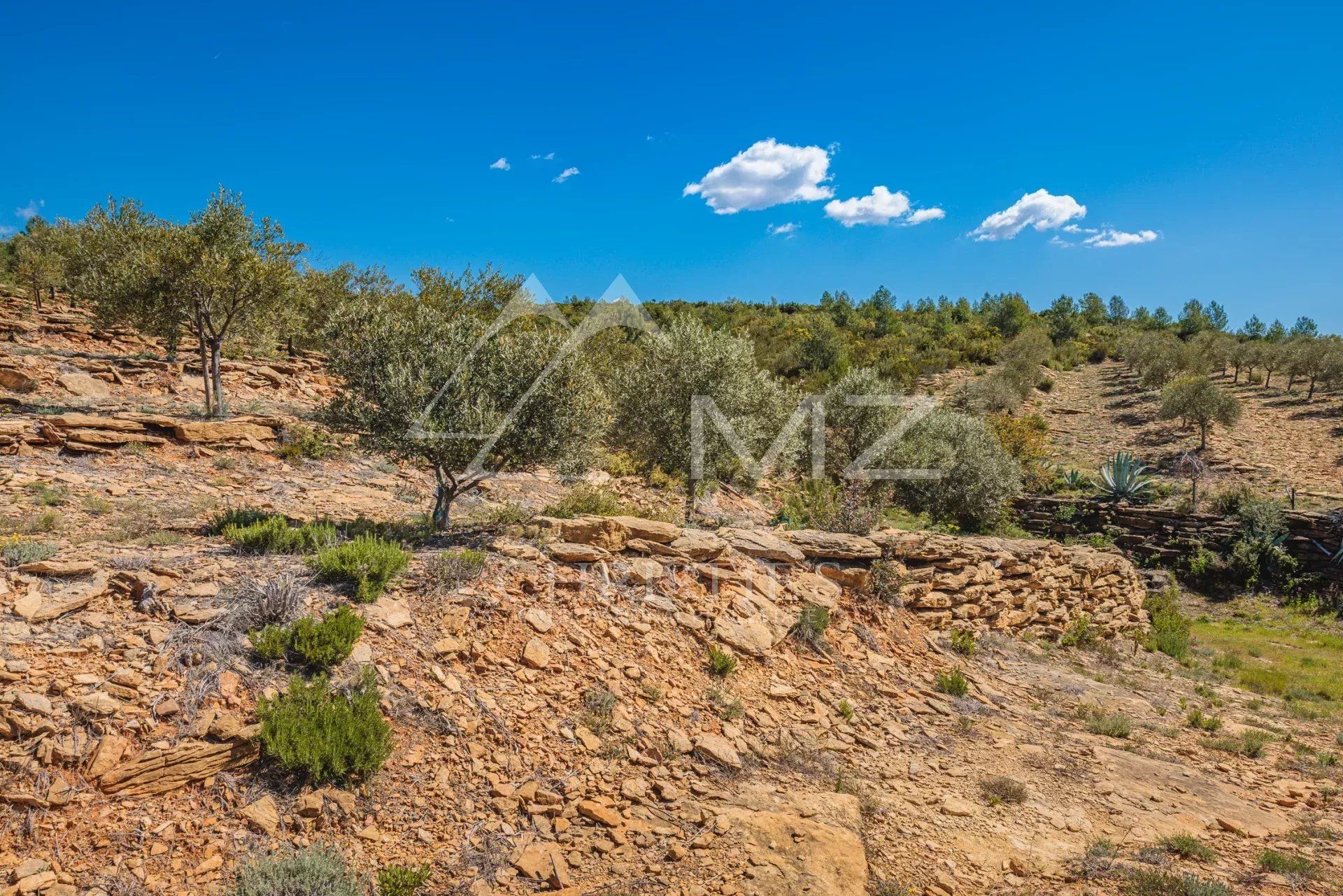 Autre dans Bandol, Var 11614749