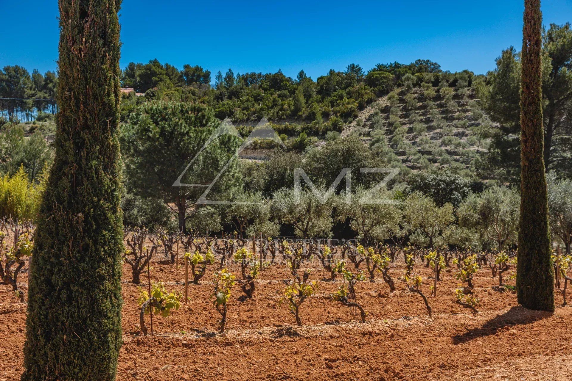 Autre dans Bandol, Var 11614749