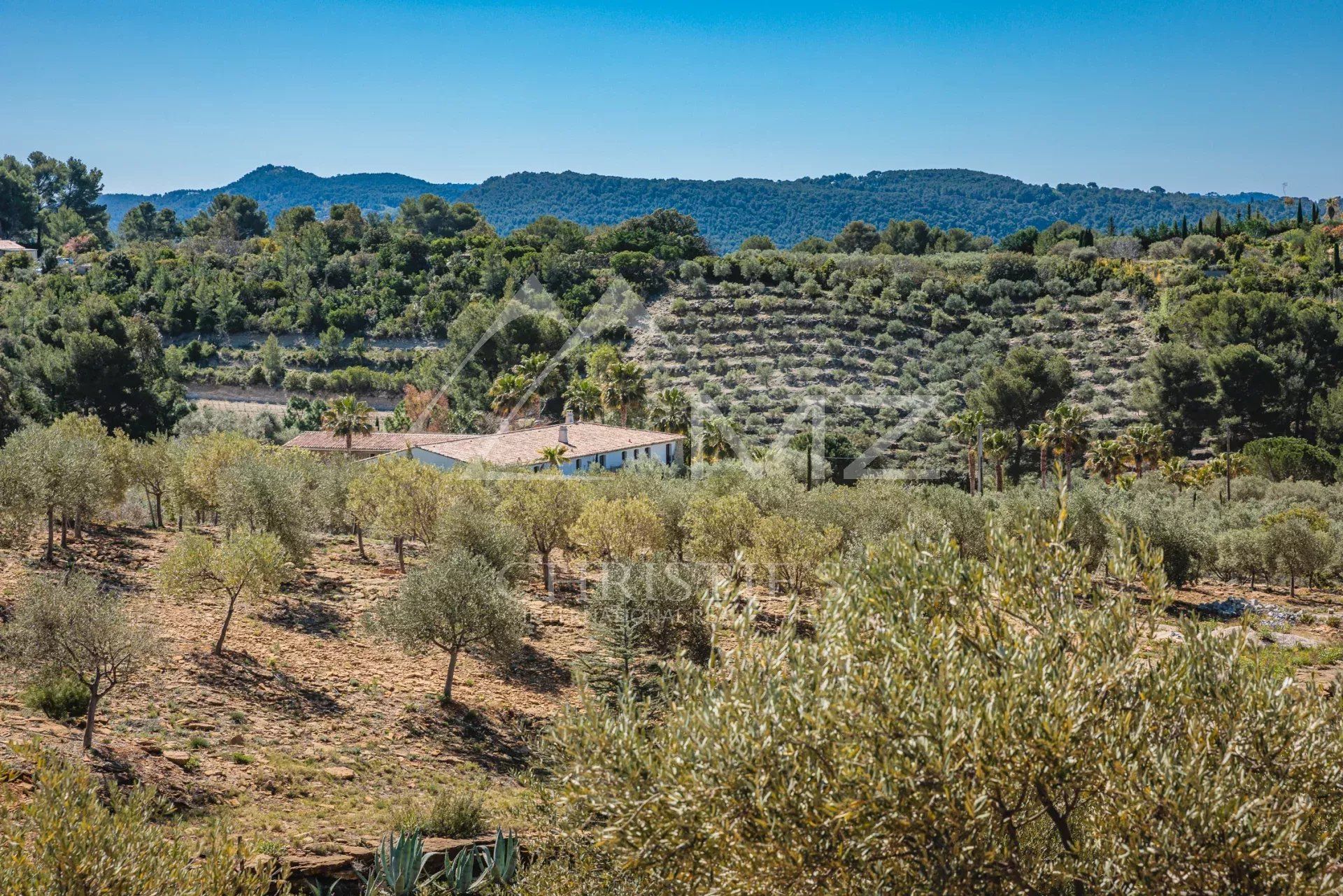 Autre dans Bandol, Var 11614749