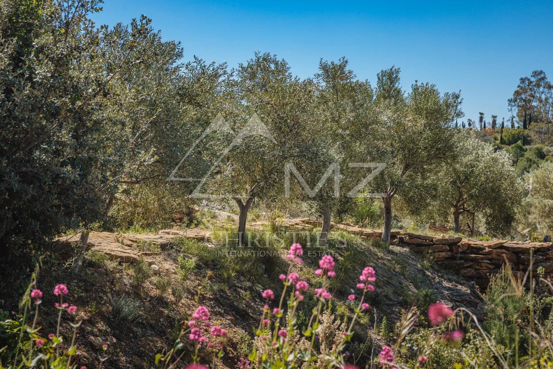 Autre dans Bandol, Var 11614749