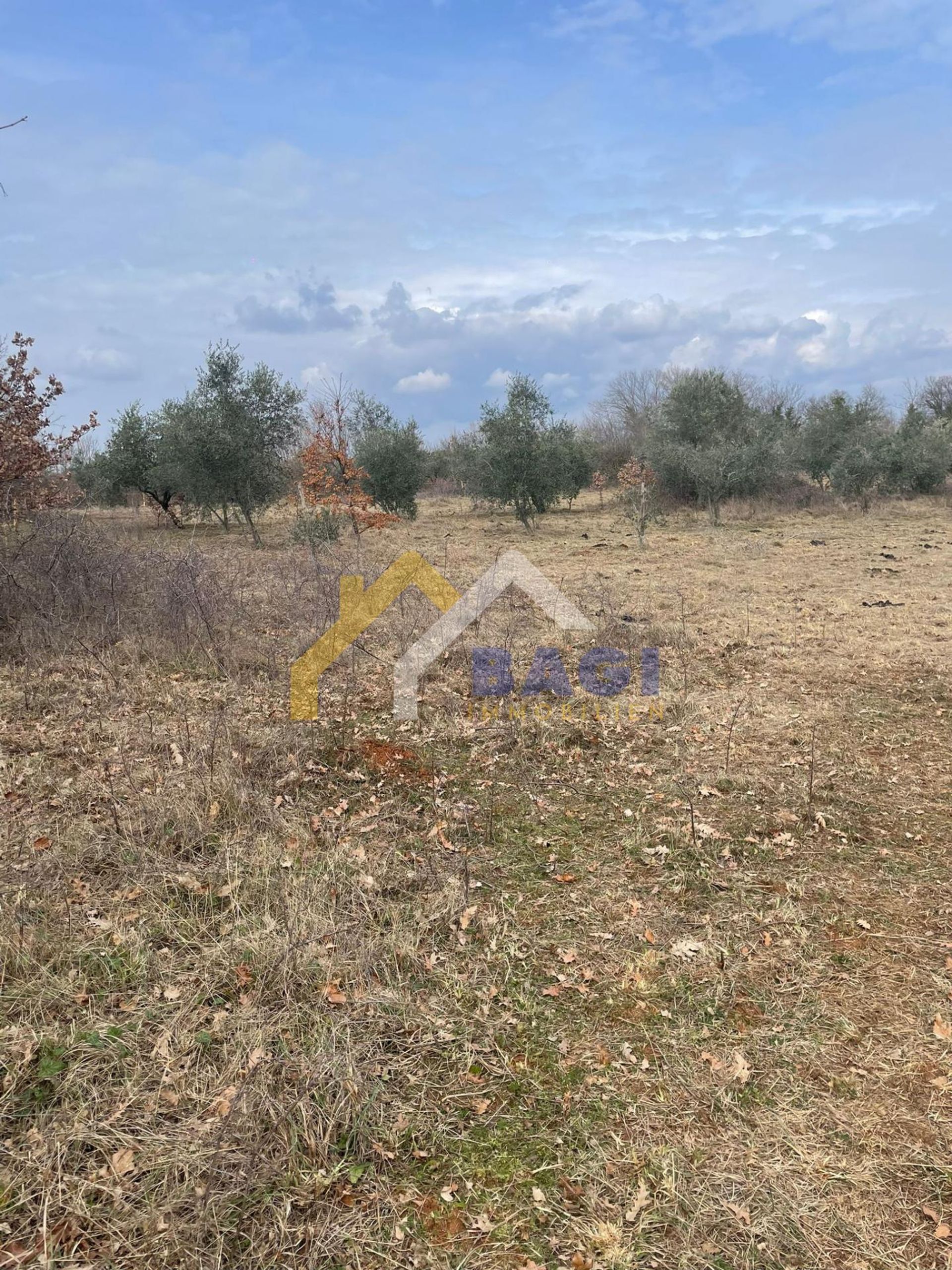 Land in Barban, Istria County 11615066