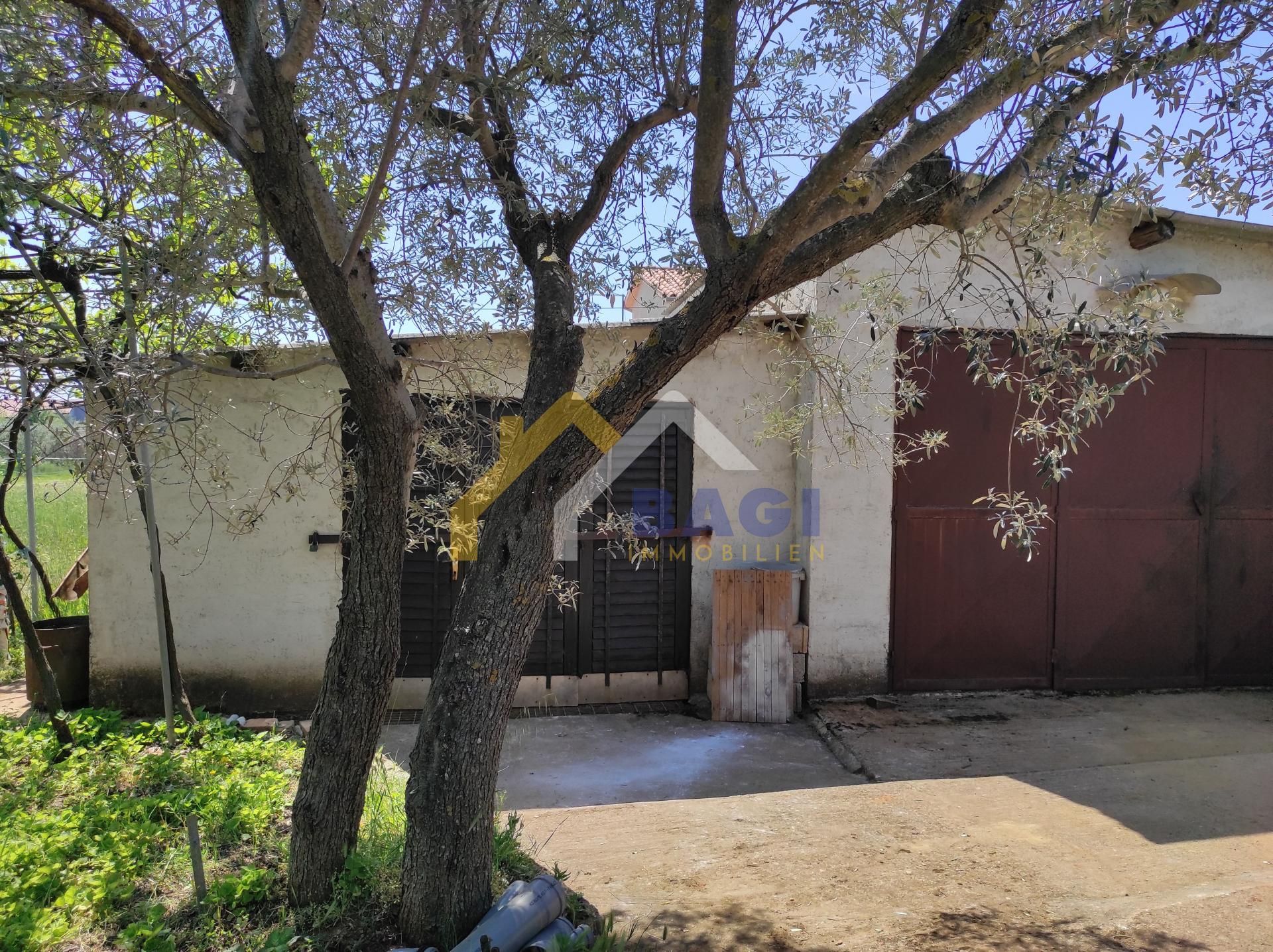 House in Fazana, Istarska Zupanija 11615412