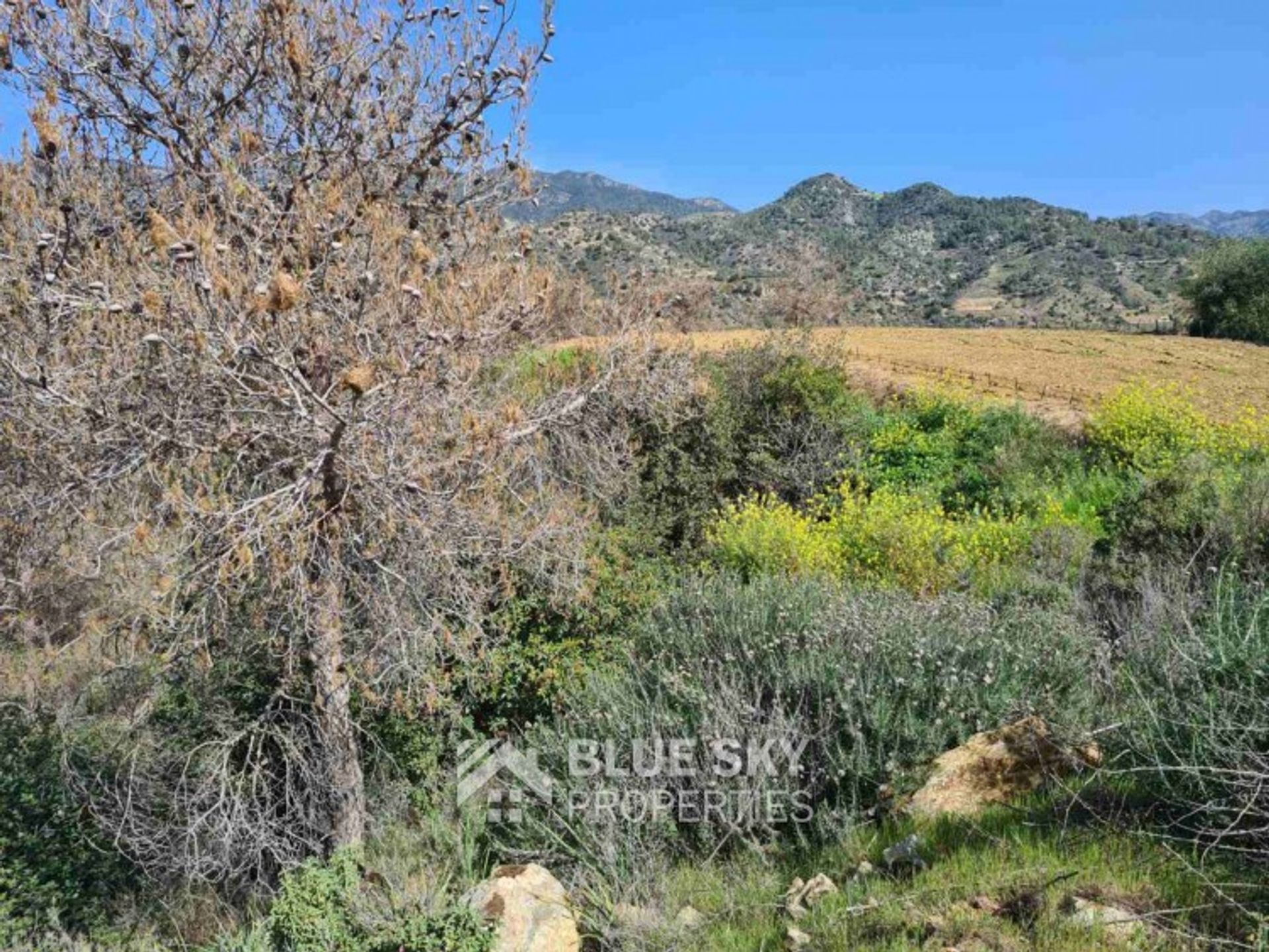 Land in Kalo Chorio, Limassol 11615835