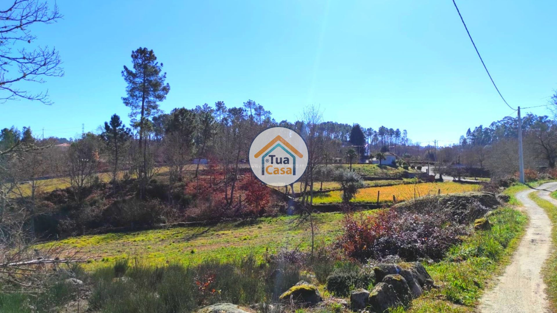 Land i Bodiosa, Viseu District 11616426