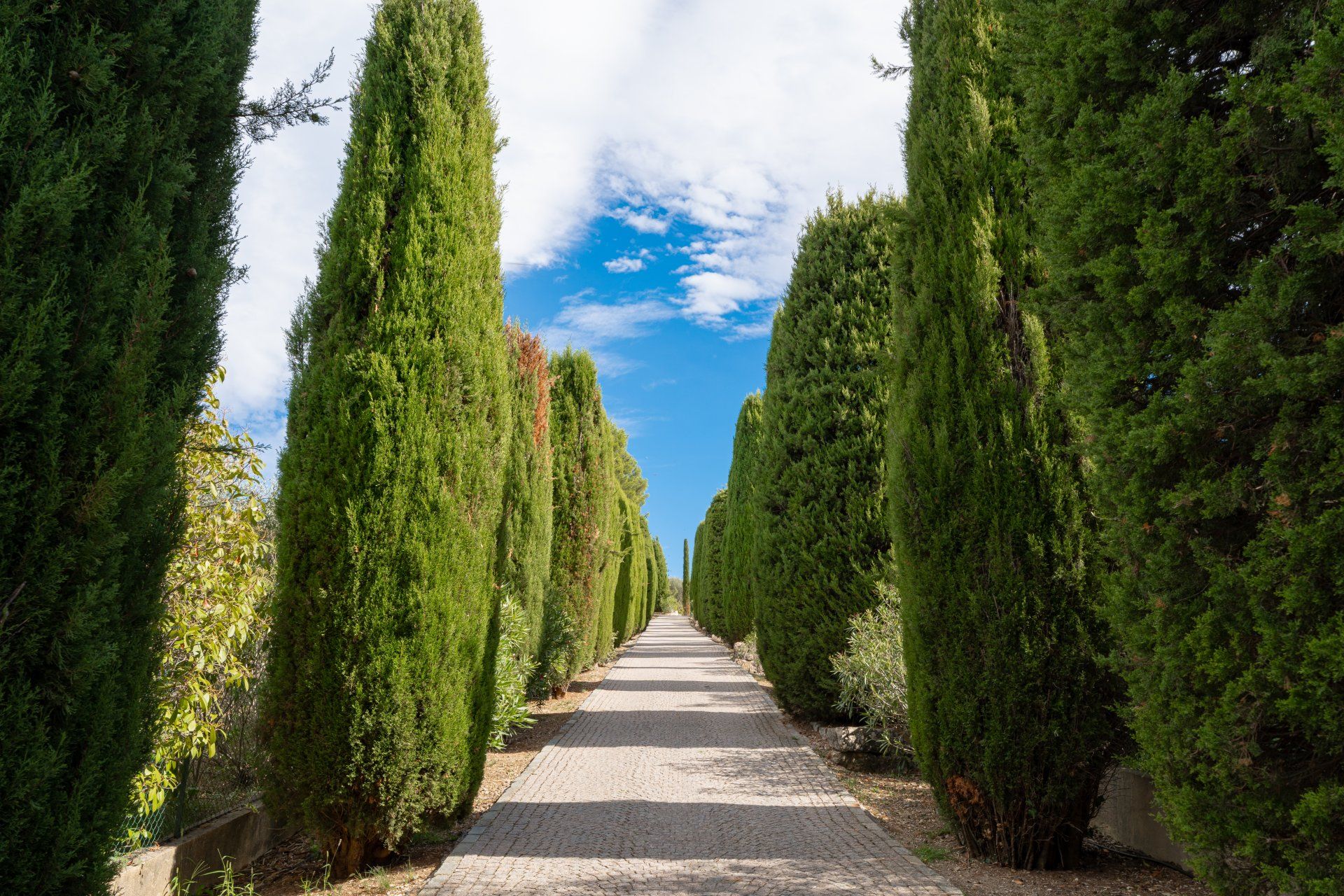 집 에 Le Bosquet, Provence-Alpes-Cote d'Azur 11616860