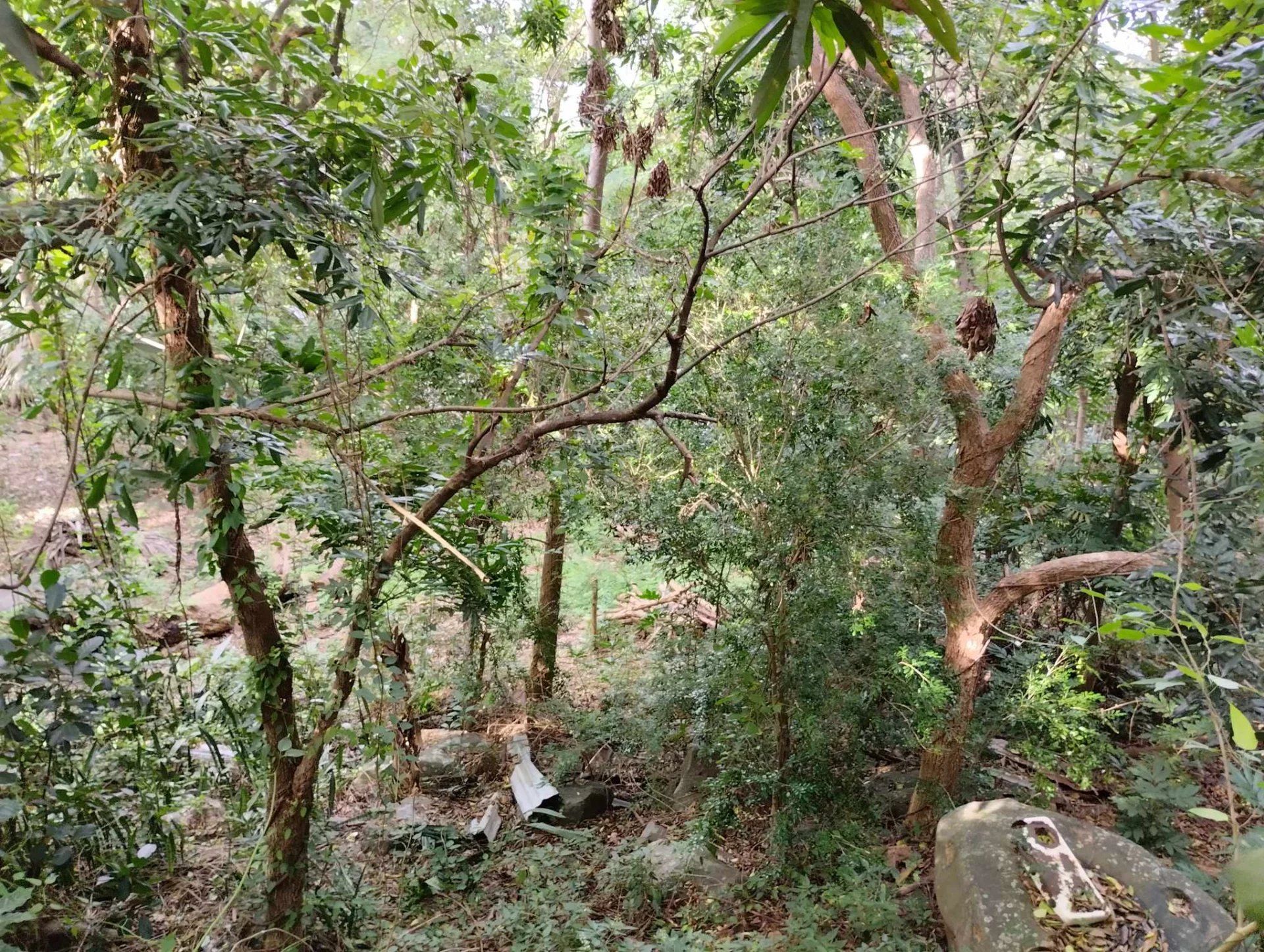 土地 在 La Rivière, La Réunion 11616883