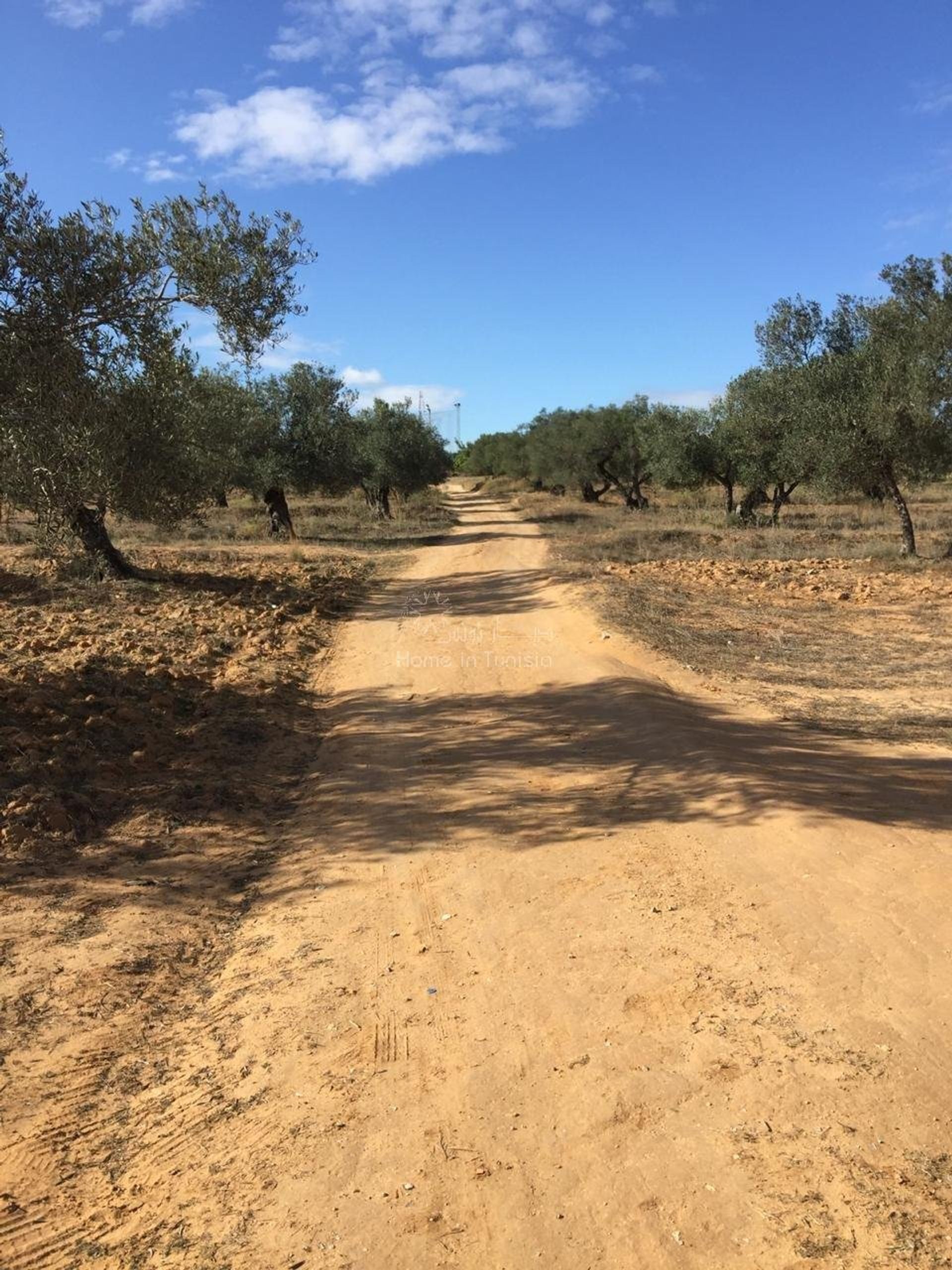 Terre dans El Haj Mohammed Zarrouch, Sousse 11616978