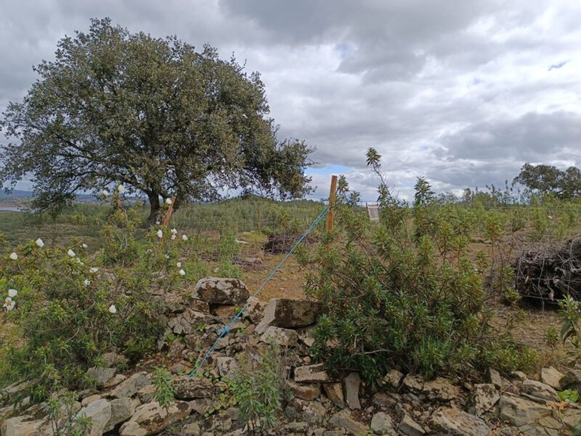 Land in Odeleite, Faro 11617036