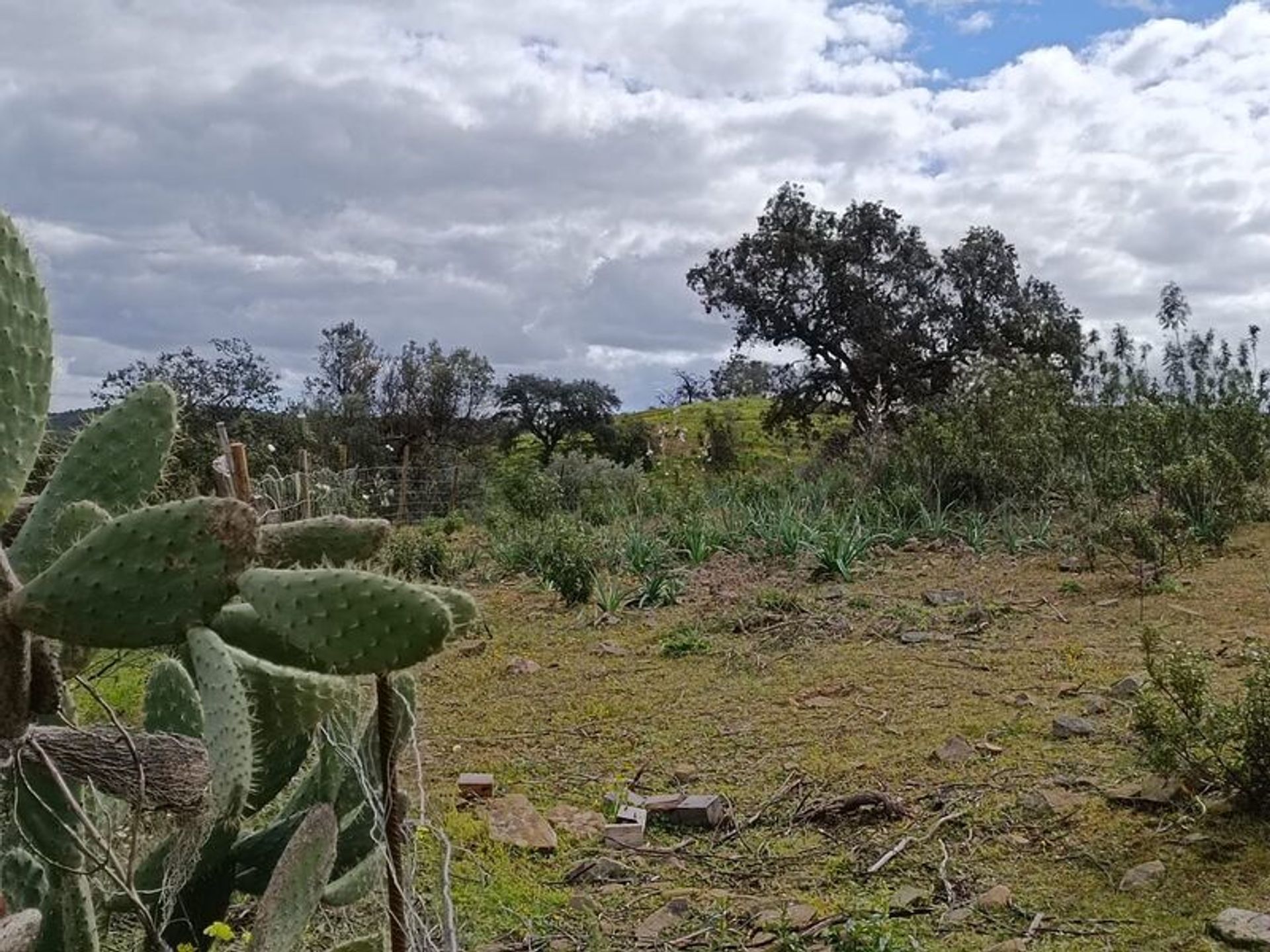 Tierra en Odeleite, Faro 11617036