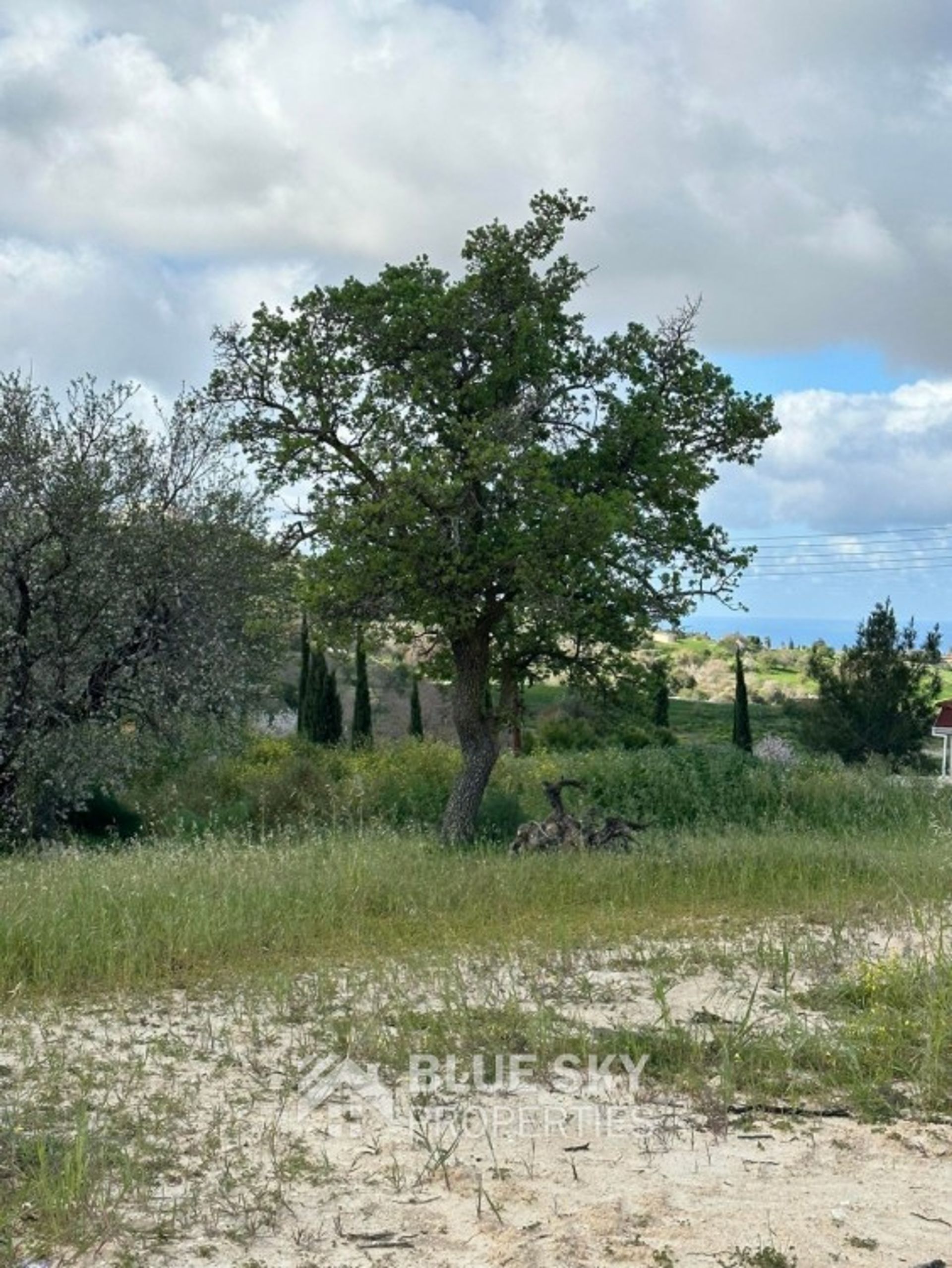 Terre dans Mesa Chorio, Paphos 11617102