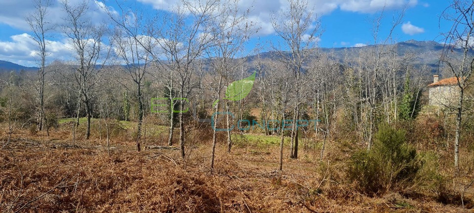 Land in Carvalhais, Viseu 11617586