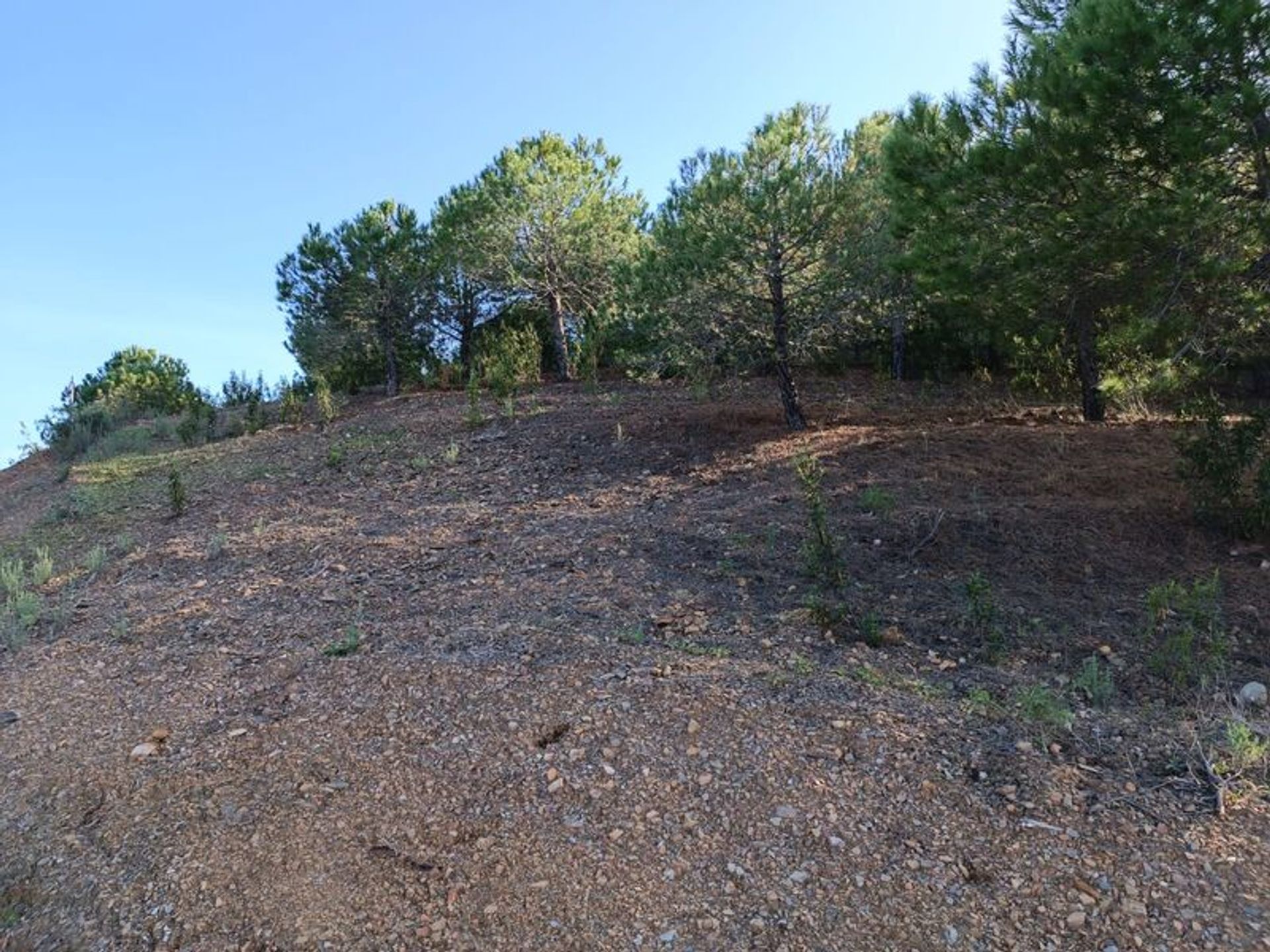 Land in Castro Marim, Faro District 11617712