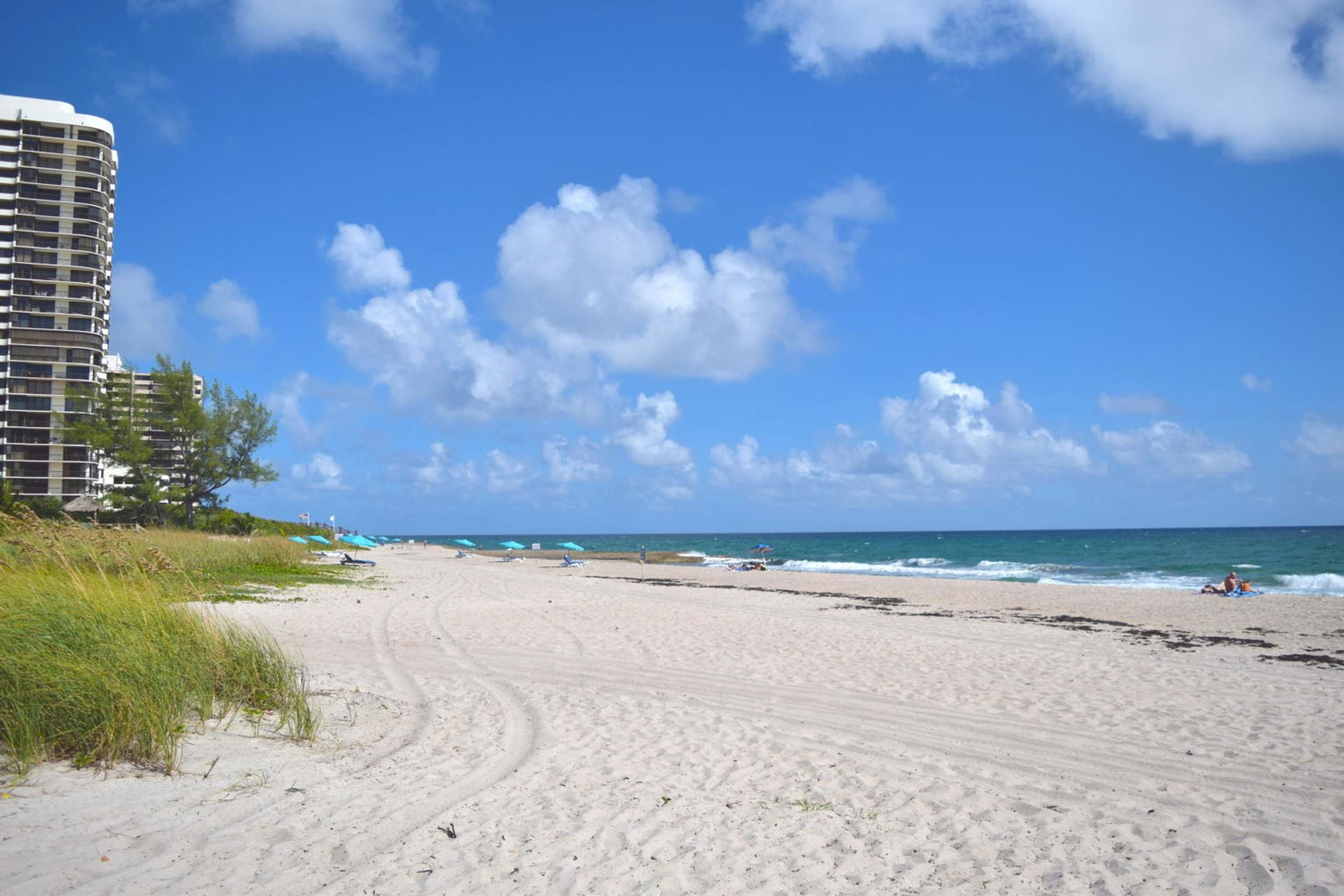 casa no Costas de Palm Beach, Flórida 11620879