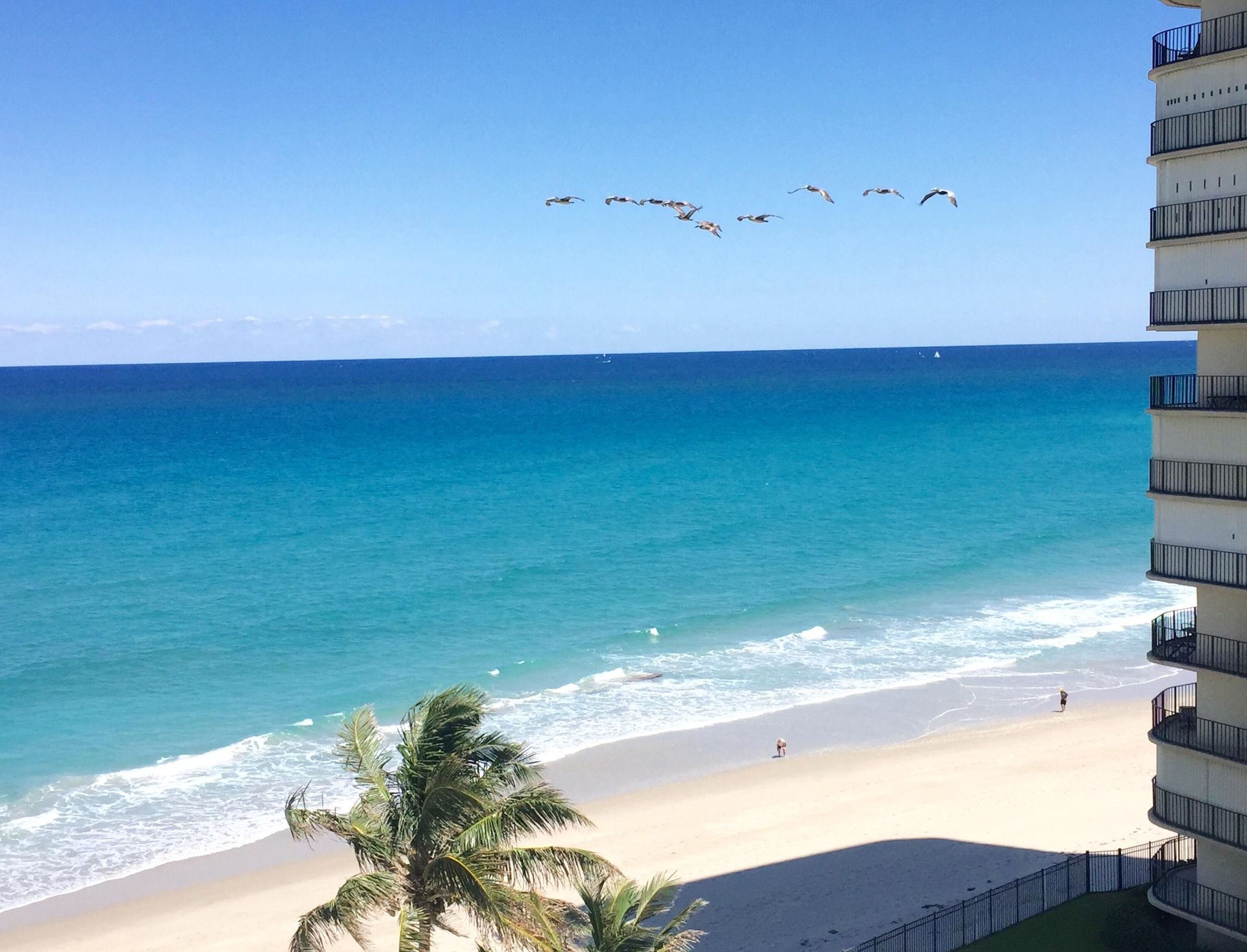 بيت في Riviera Beach, Florida 11621135