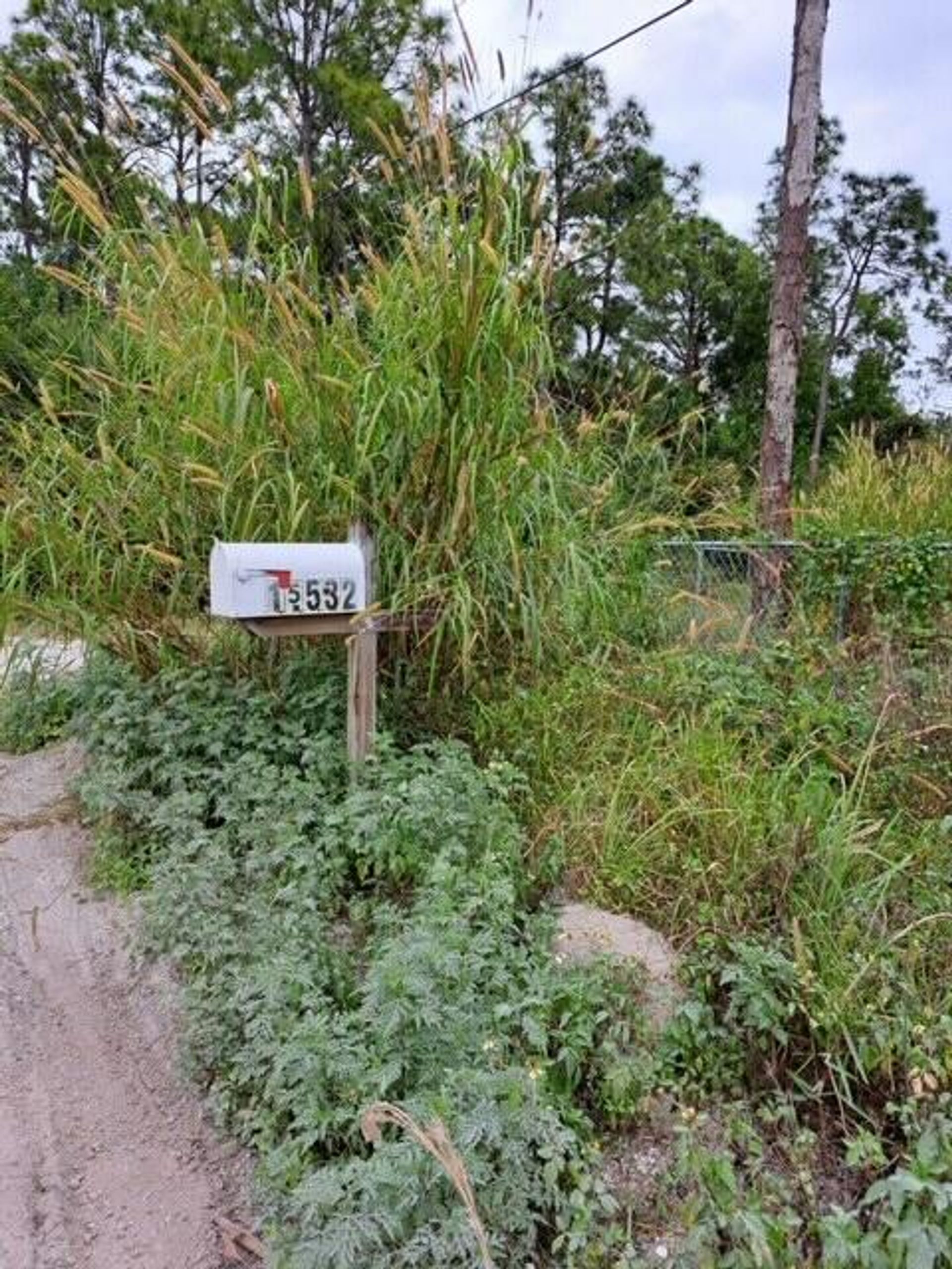 व्यावसायिक में Loxahatchee, Florida 11621344