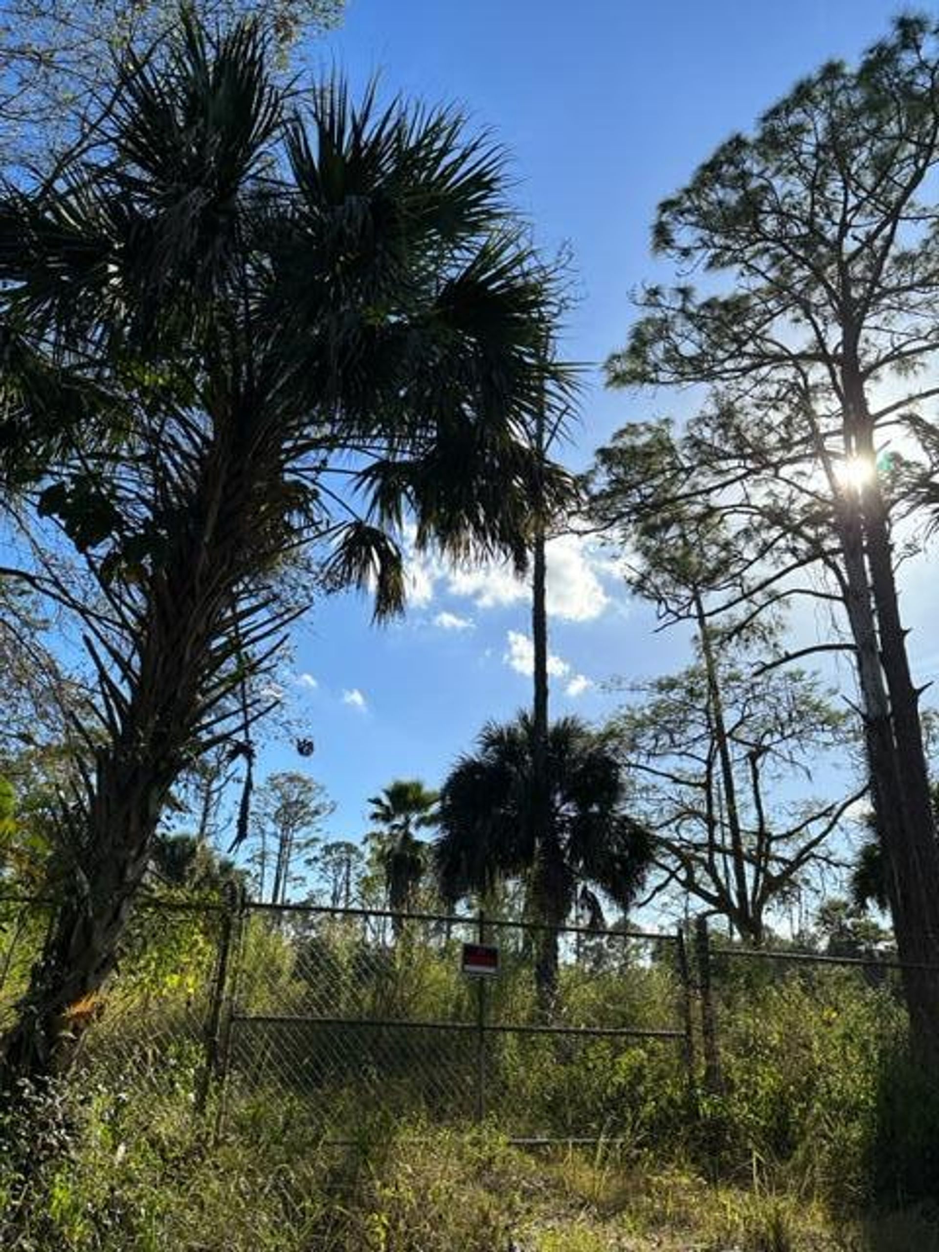 Land in Loxahatchee, Florida 11621344