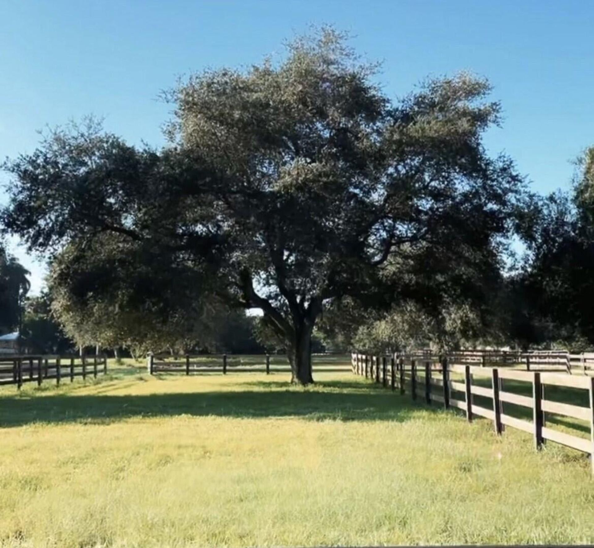 집 에 Loxahatchee Groves, Florida 11621352