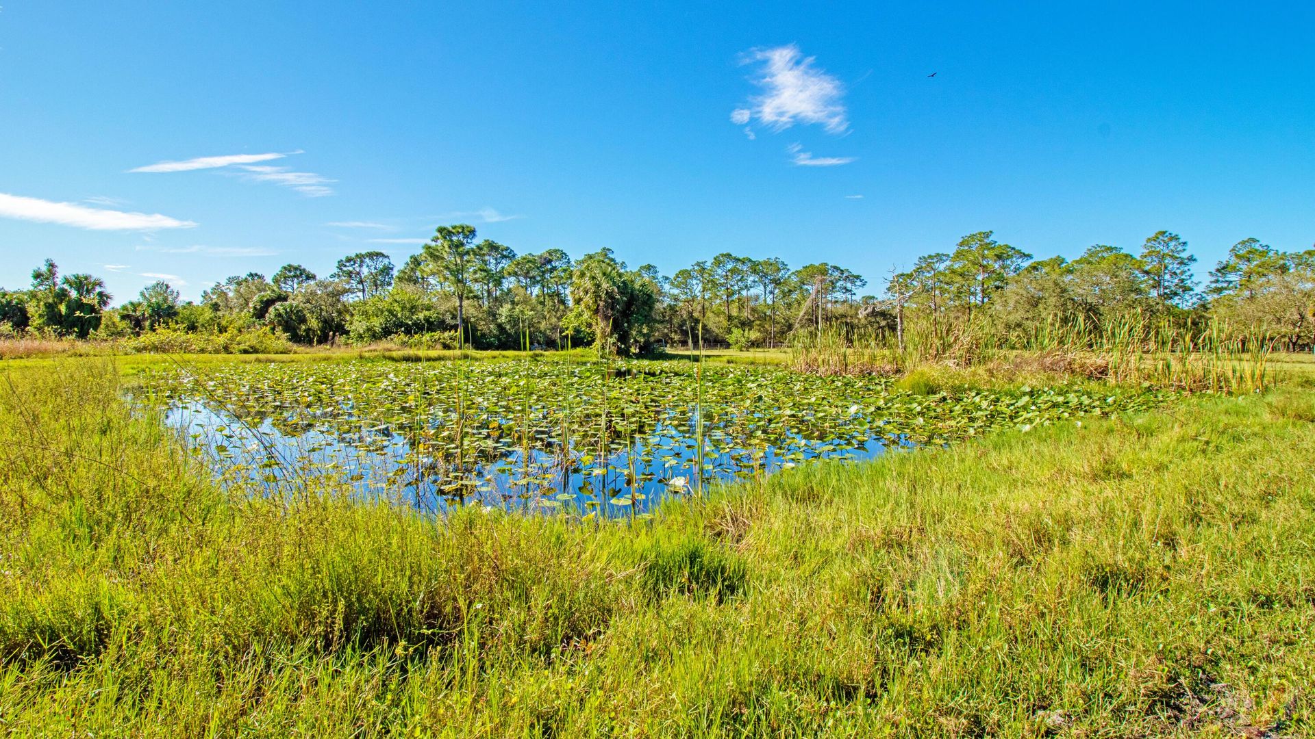 房子 在 Indiantown, Florida 11621444