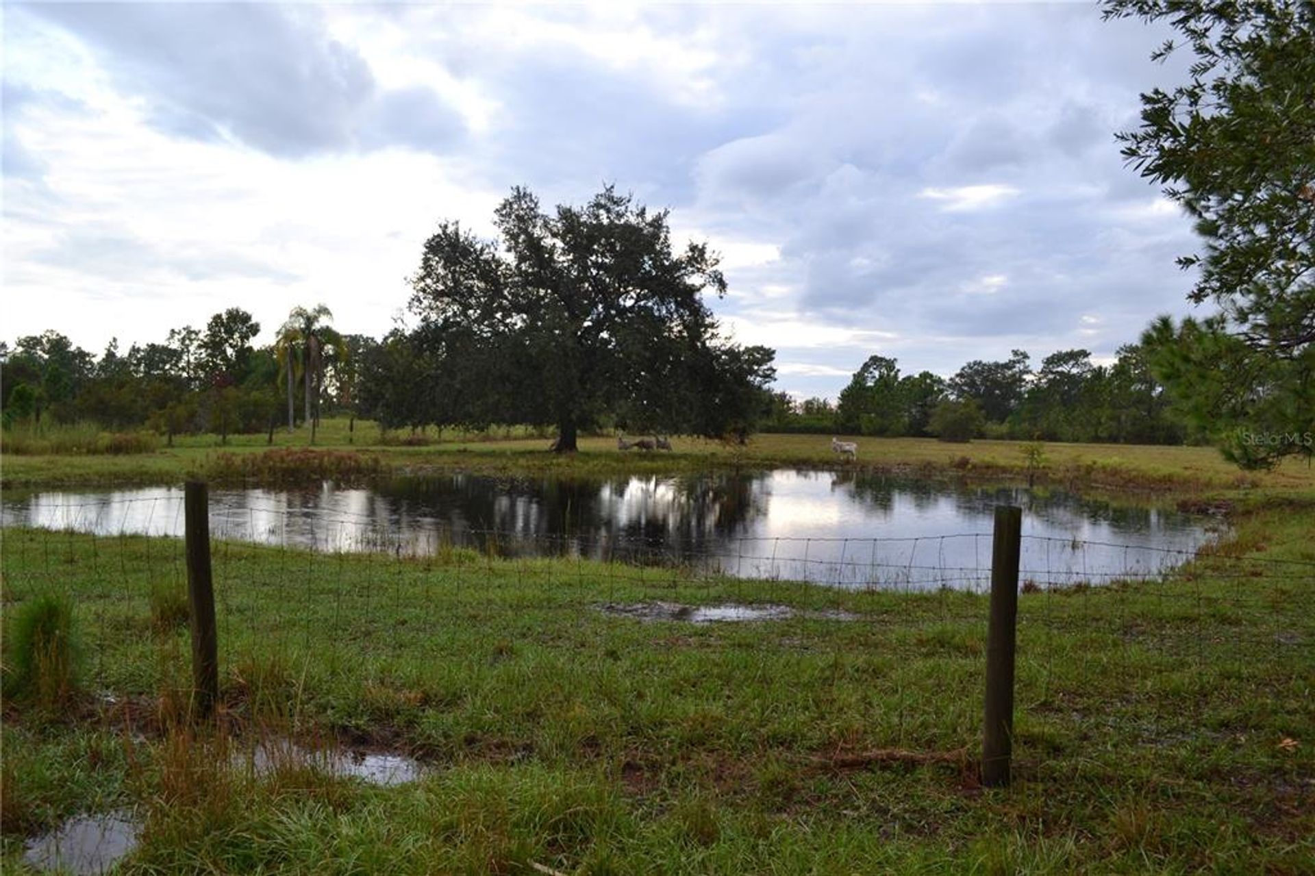 土地 在 Okeechobee, Florida 11621573