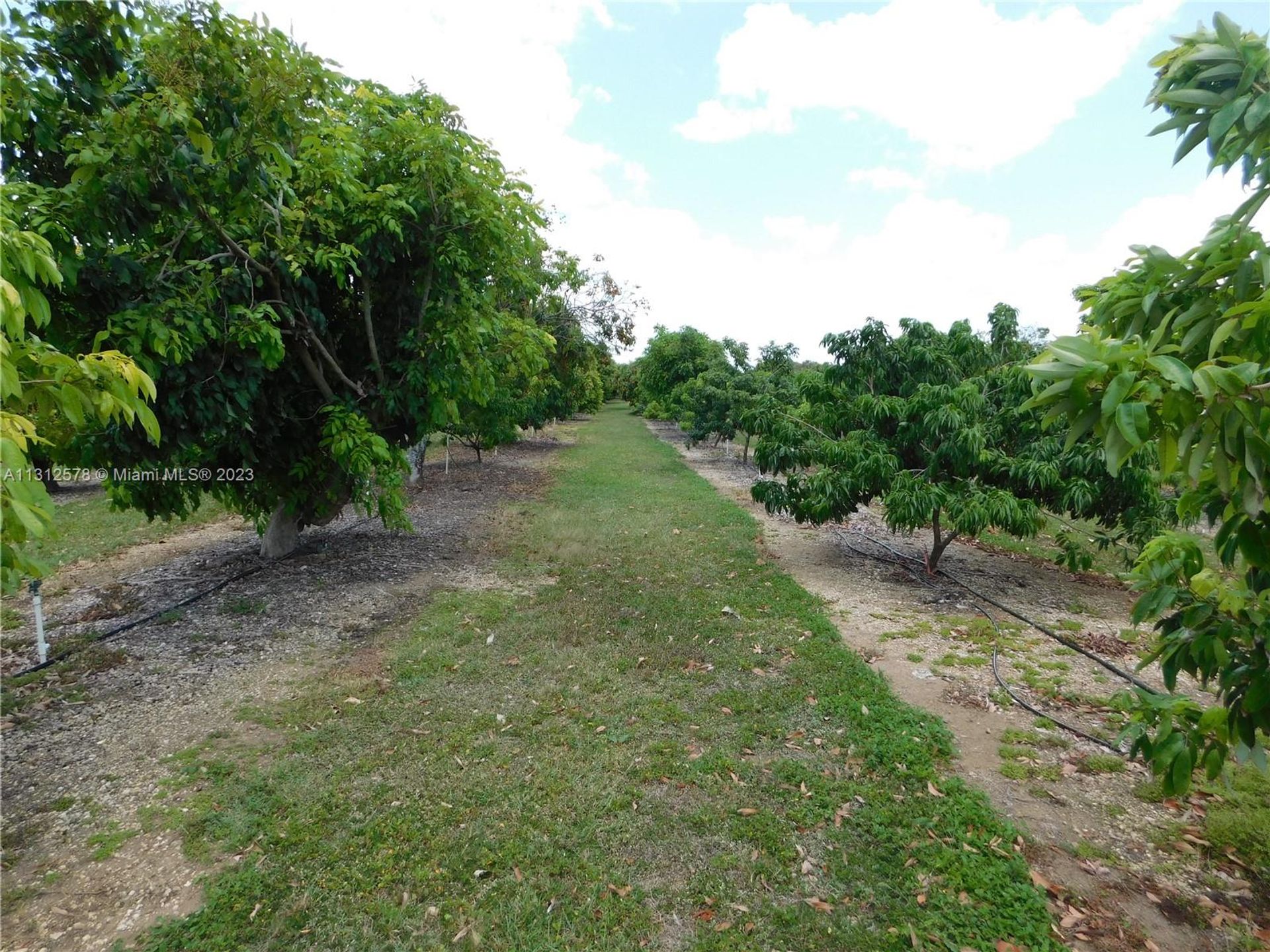 भूमि में Homestead, Florida 11621586