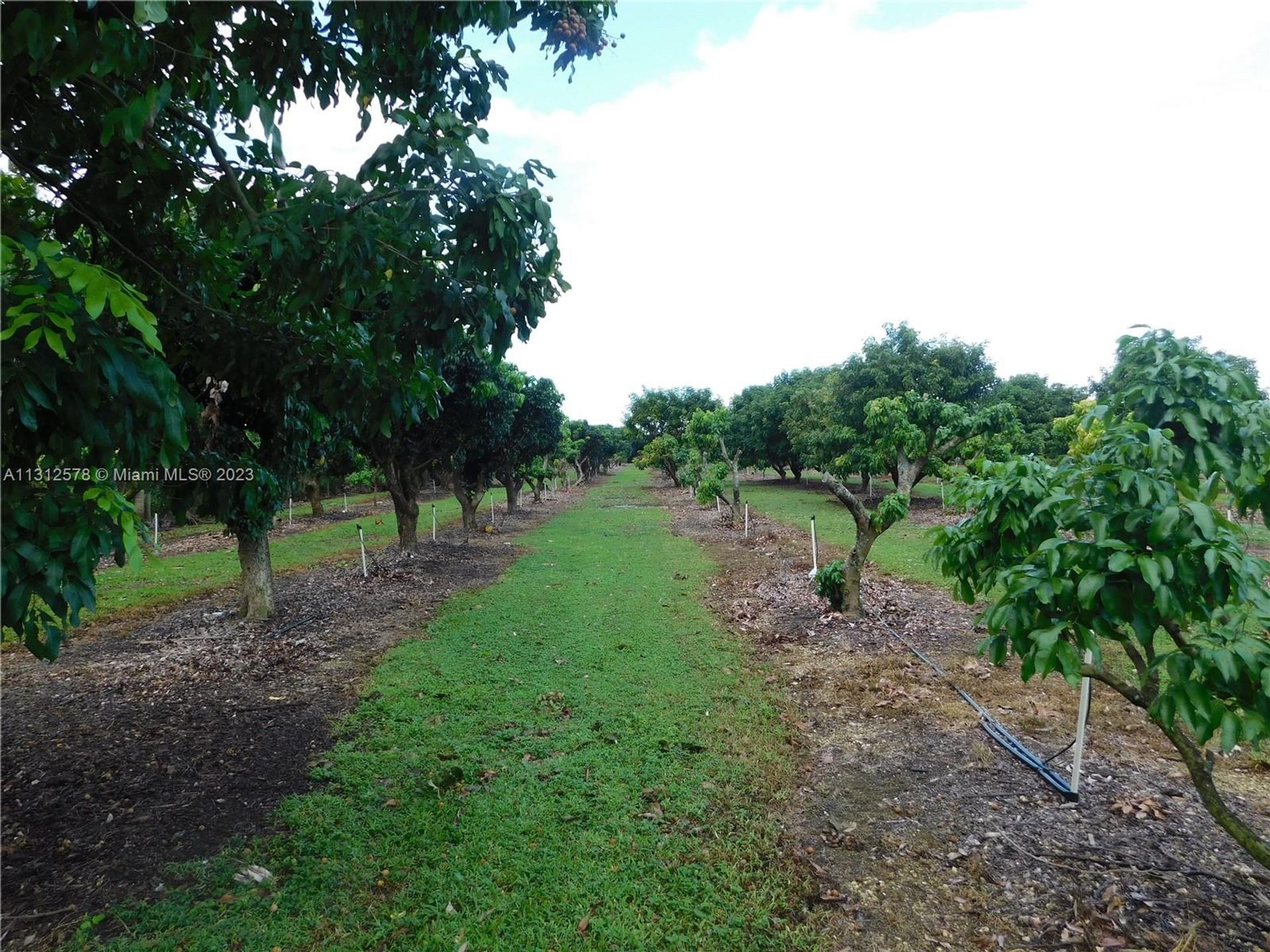 Tierra en Tierra roja, Florida 11621586