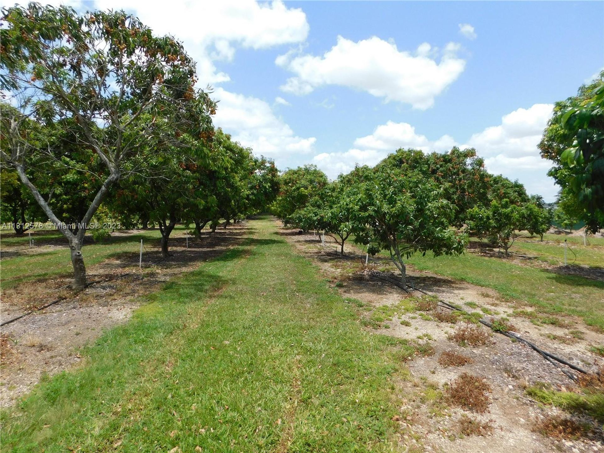 Земля в Homestead, Florida 11621586