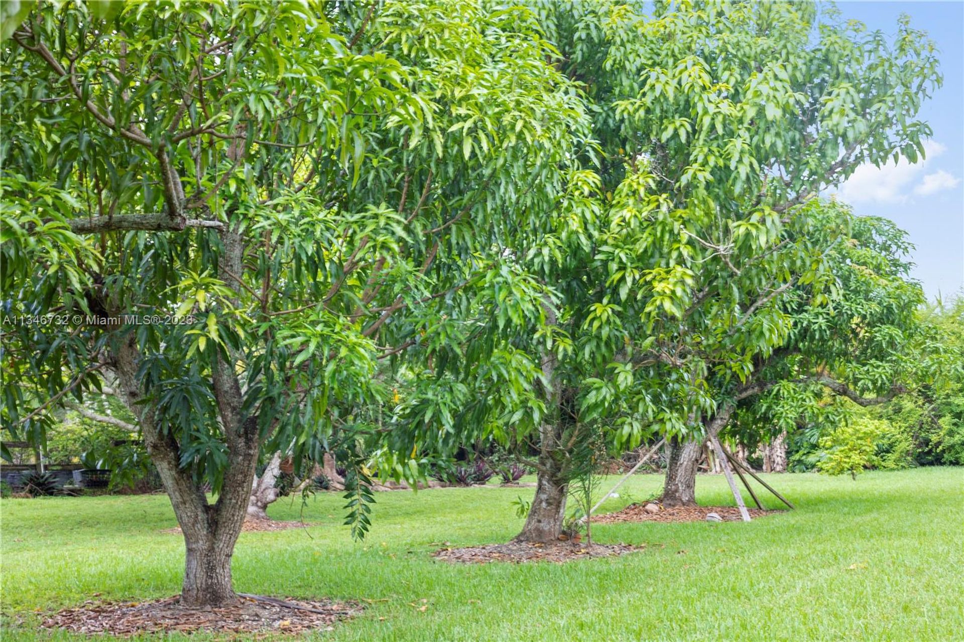 Talo sisään Homestead, Florida 11621618