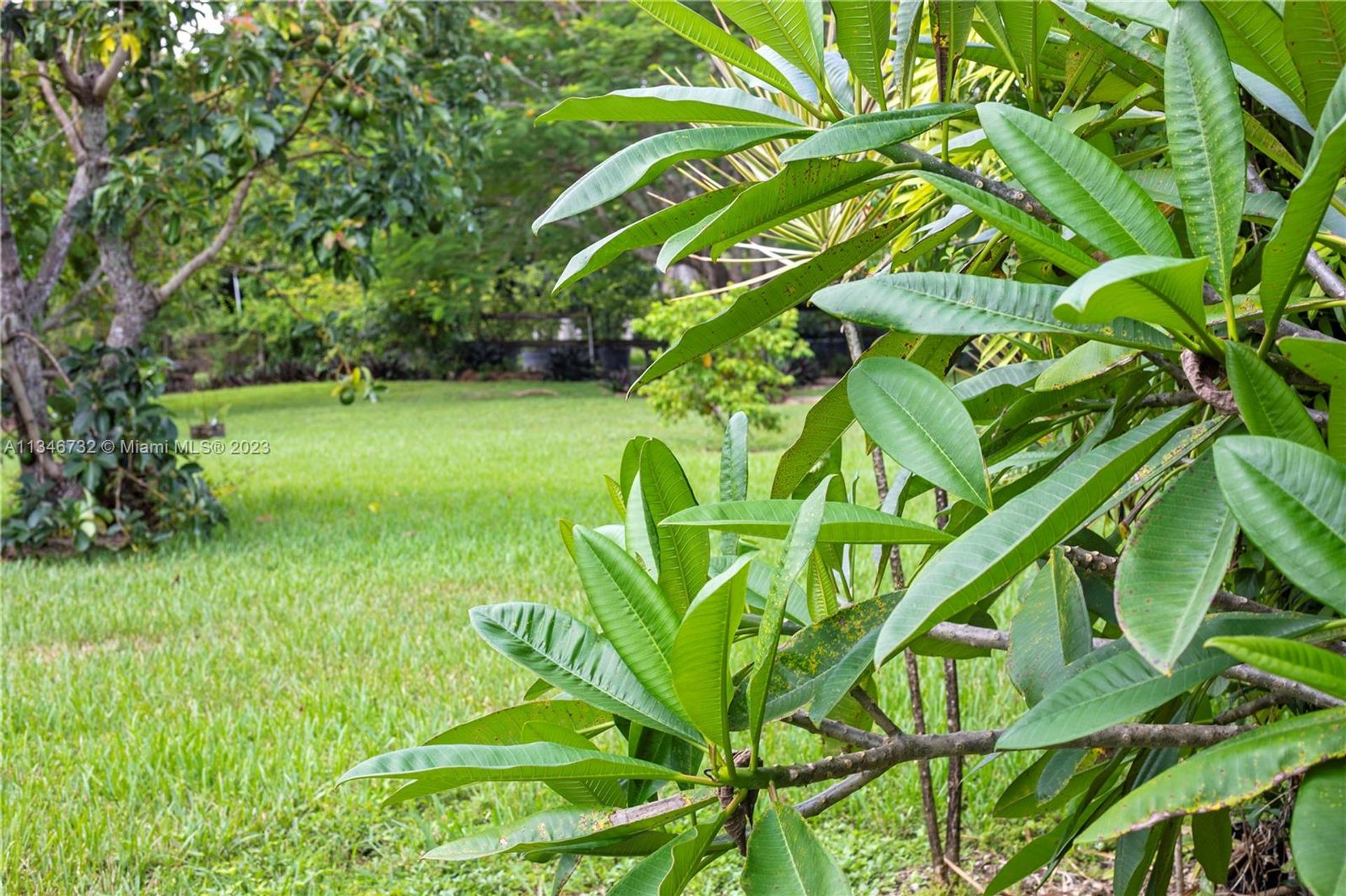 Talo sisään Homestead, Florida 11621618