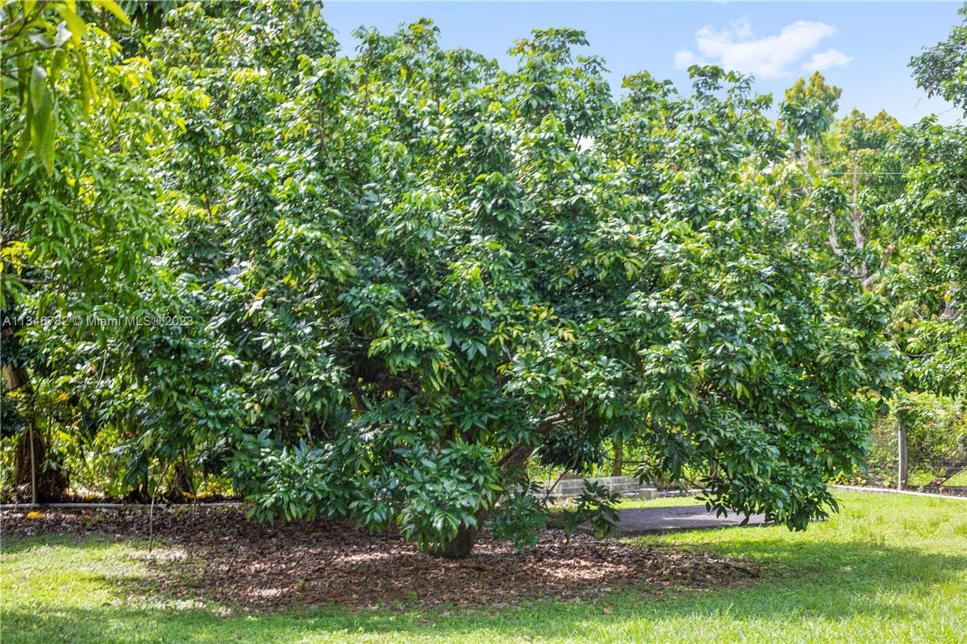 Talo sisään Homestead, Florida 11621618