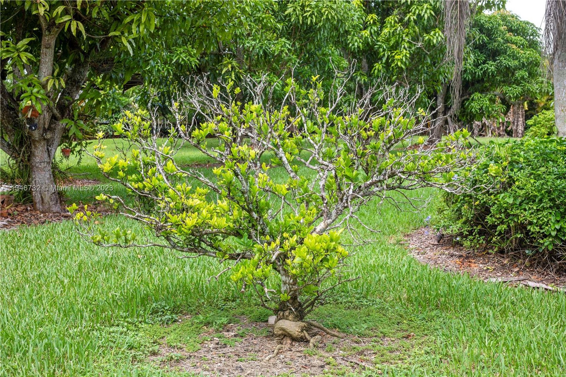 Talo sisään Homestead, Florida 11621618