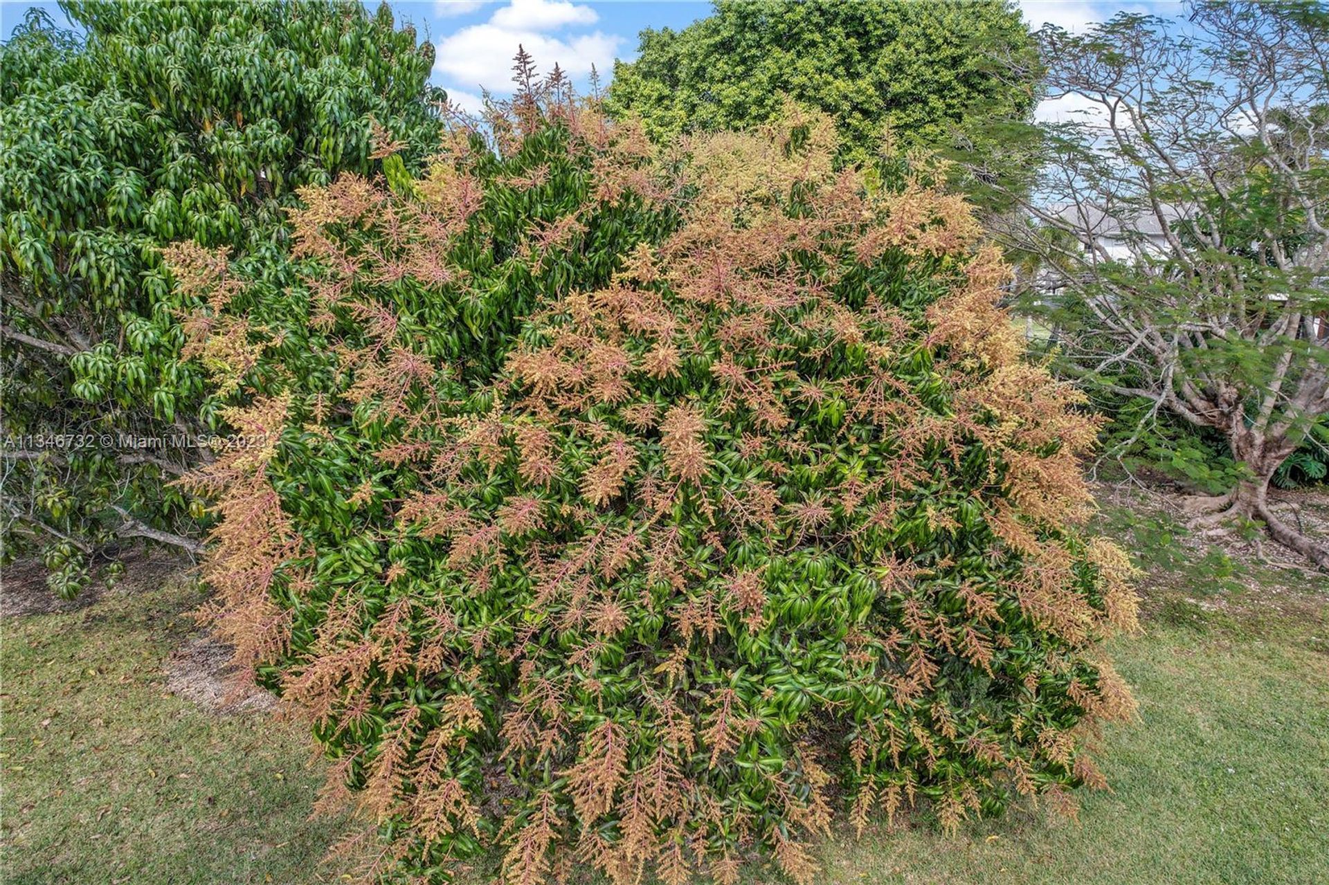 Talo sisään Homestead, Florida 11621618