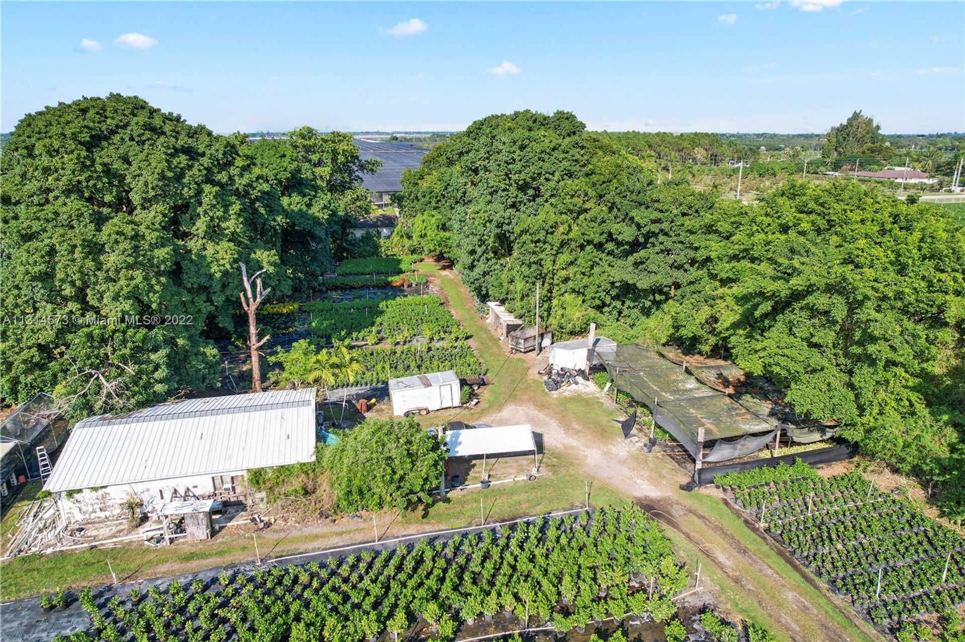 casa no Terra Vermelha, Flórida 11621625