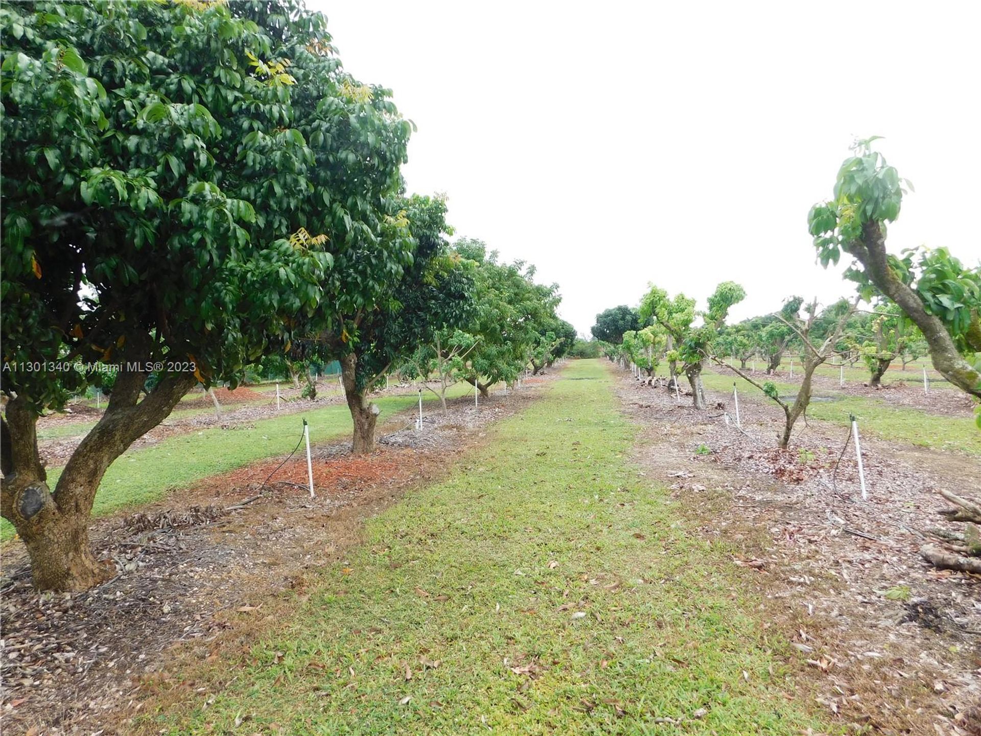 भूमि में Homestead, Florida 11621762