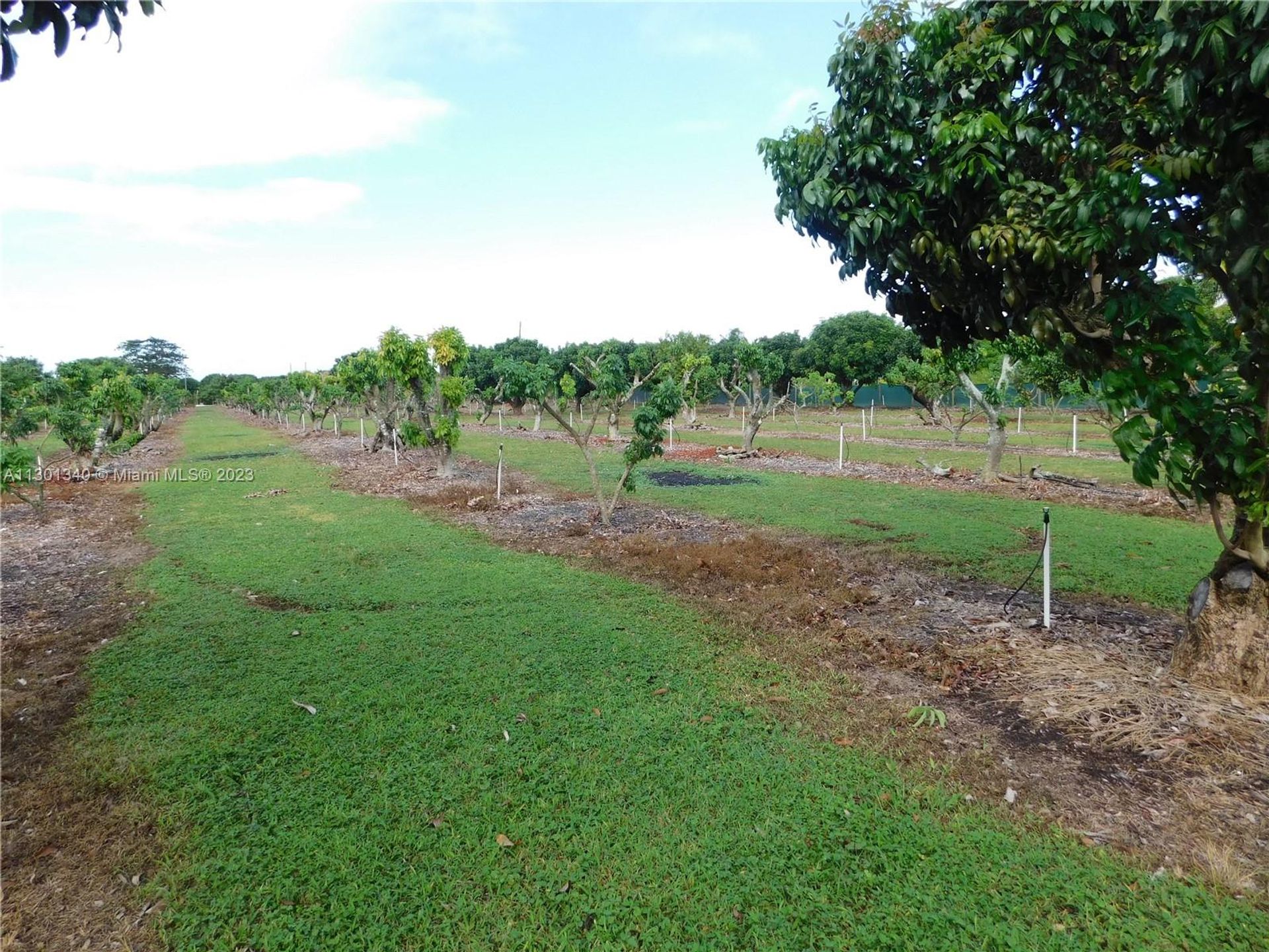 土地 在 Homestead, Florida 11621762