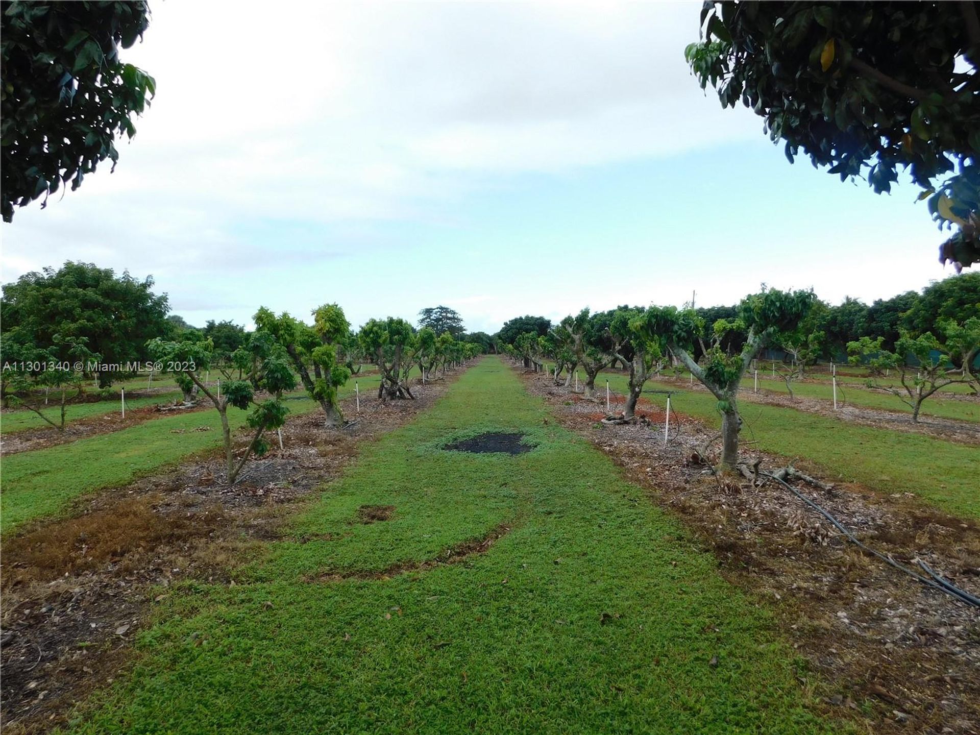 土地 在 Homestead, Florida 11621762