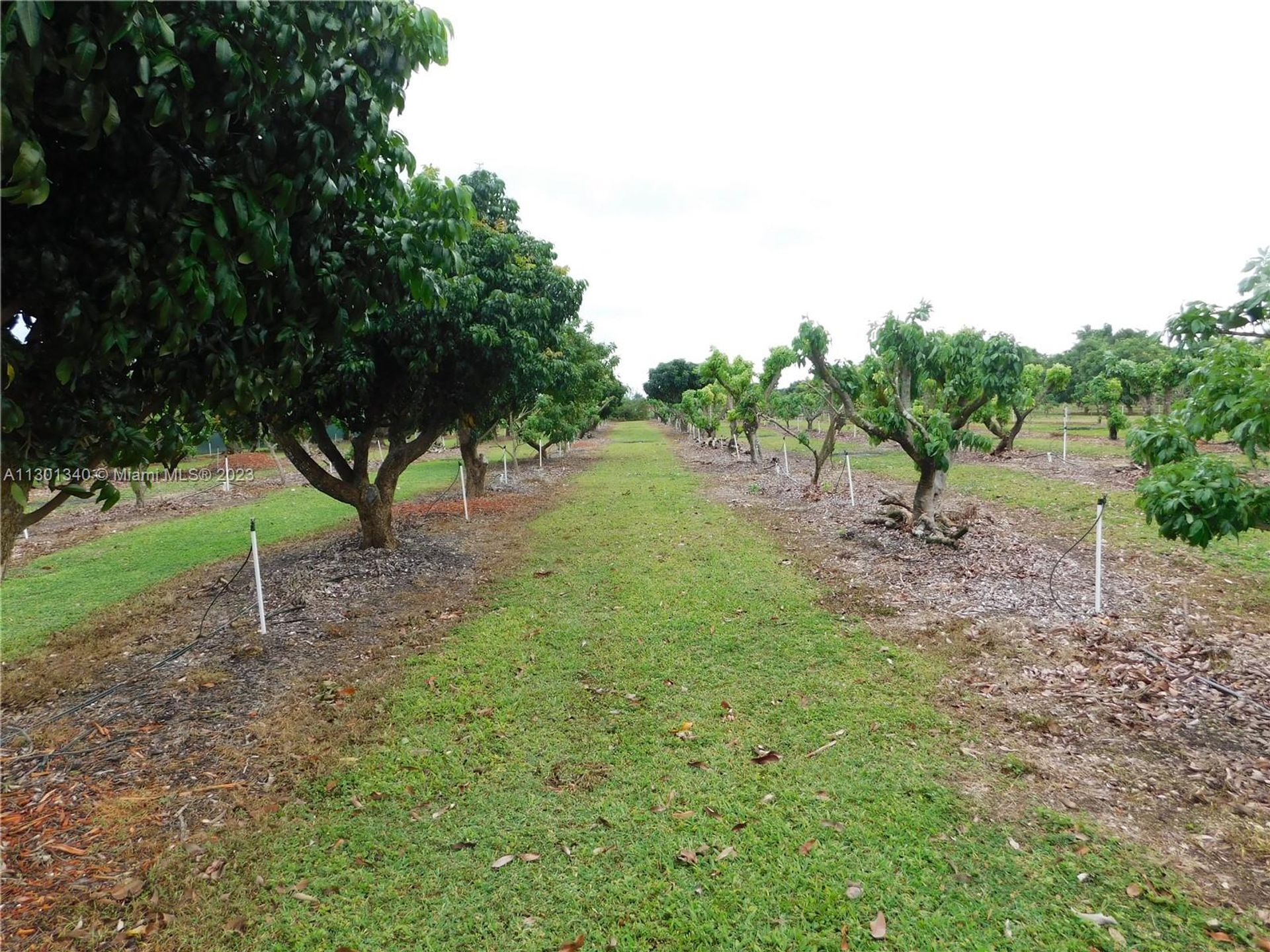 भूमि में Homestead, Florida 11621762