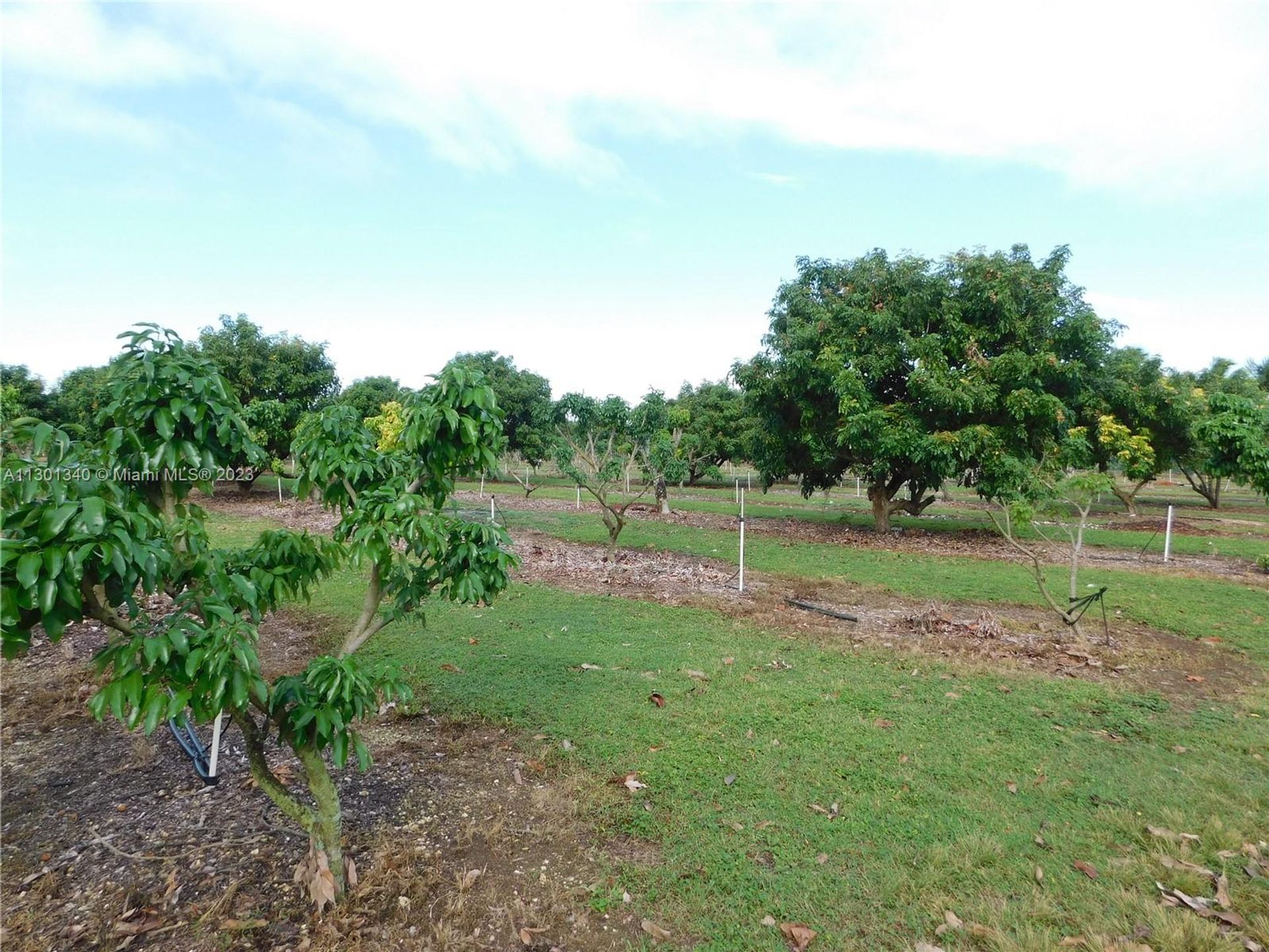 भूमि में Homestead, Florida 11621762