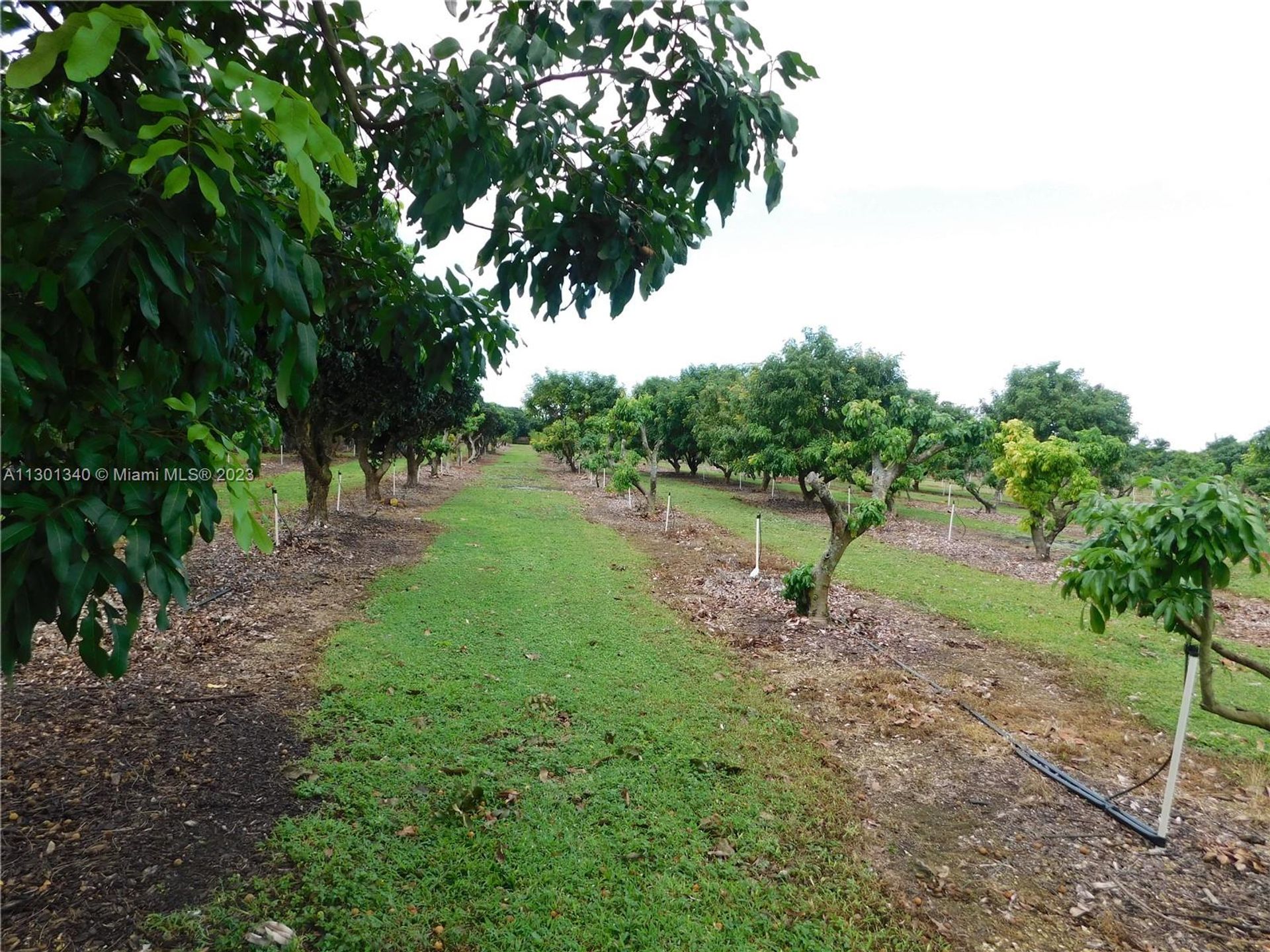 भूमि में Homestead, Florida 11621762