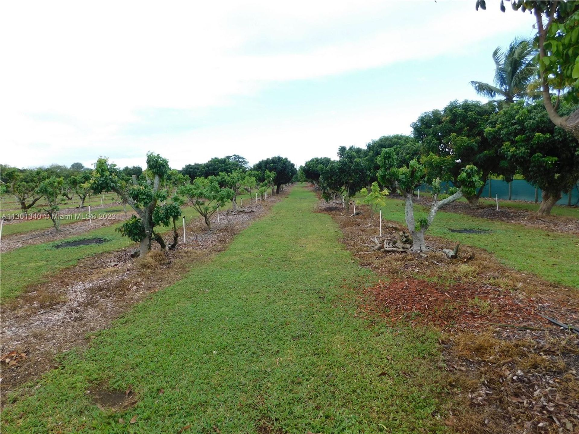 भूमि में Homestead, Florida 11621762