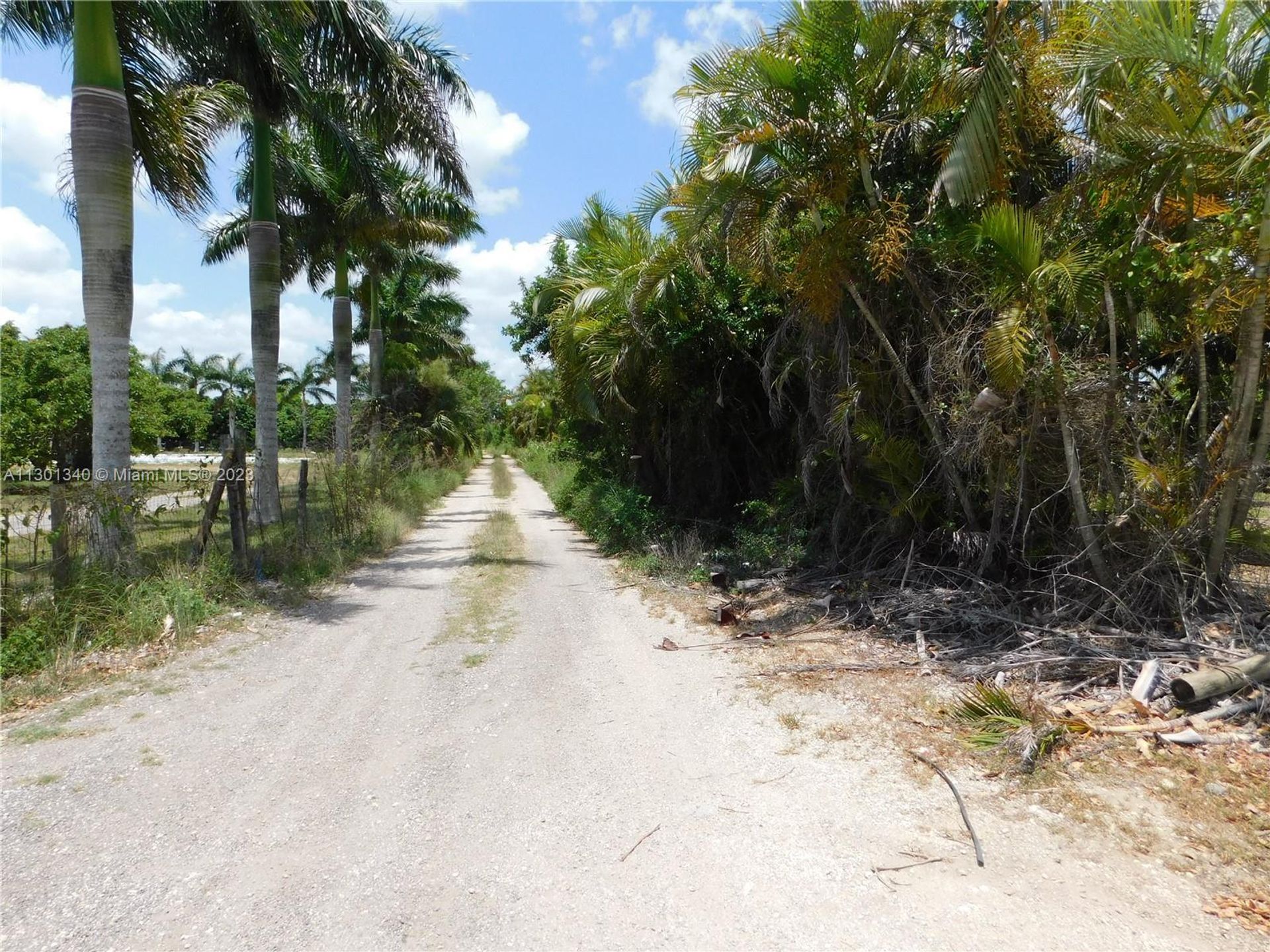 Земля в Homestead, Florida 11621762