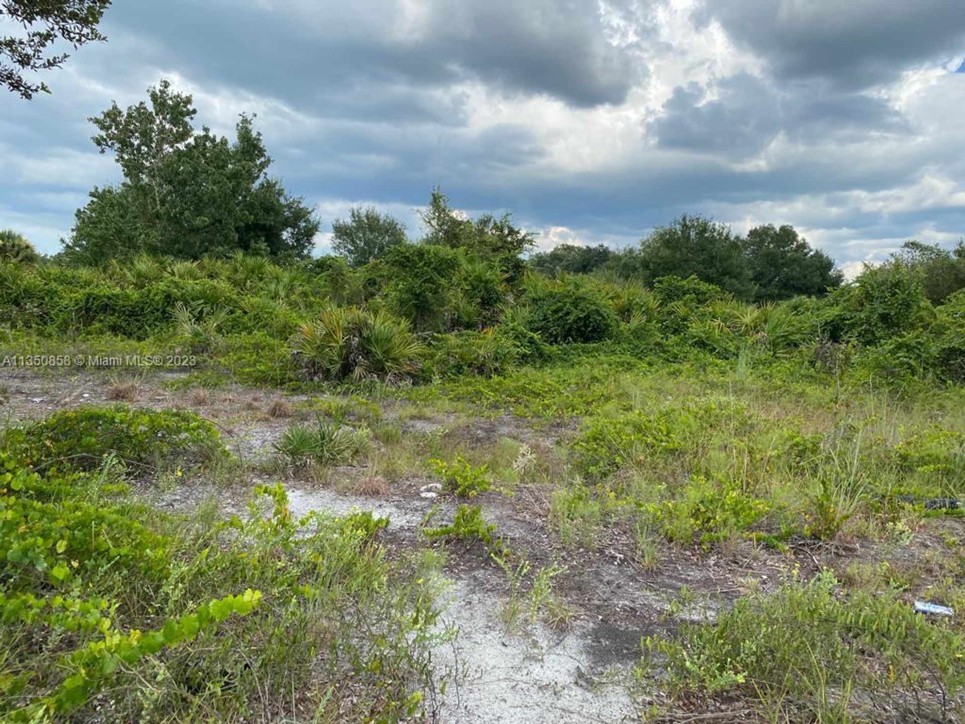 土地 在 Okeechobee, Florida 11621826