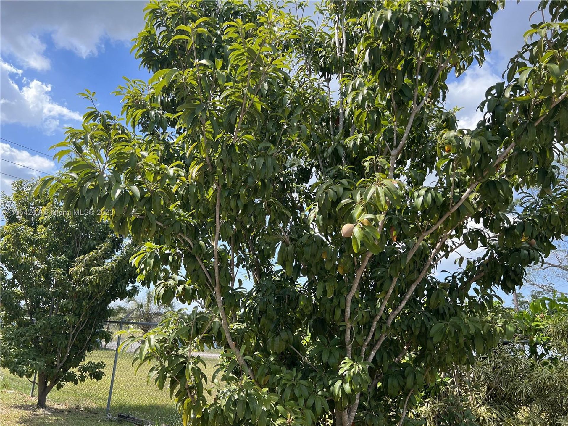 σπίτι σε Homestead, Florida 11621831