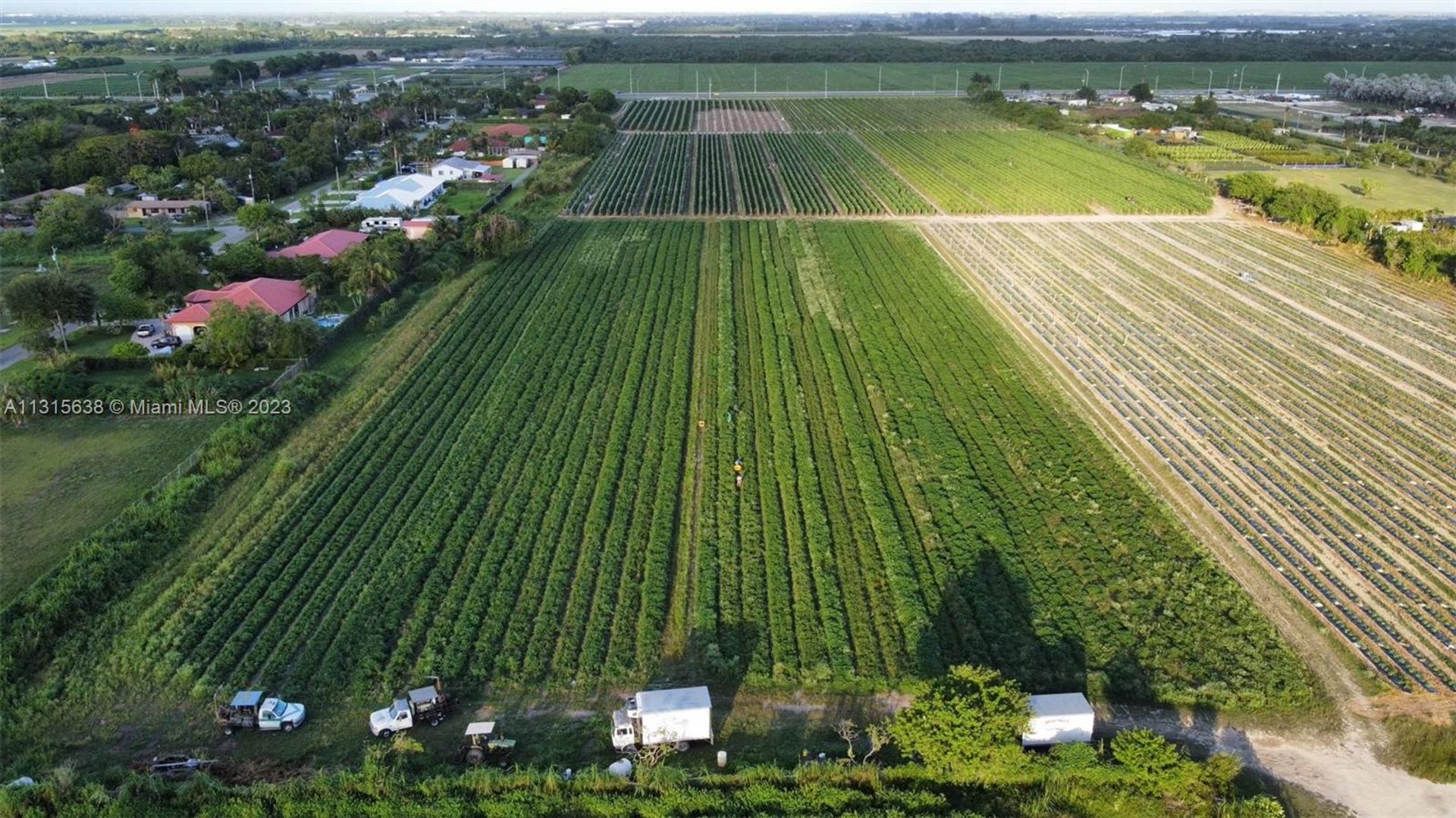 Terre dans Terre Rouge, Floride 11621841