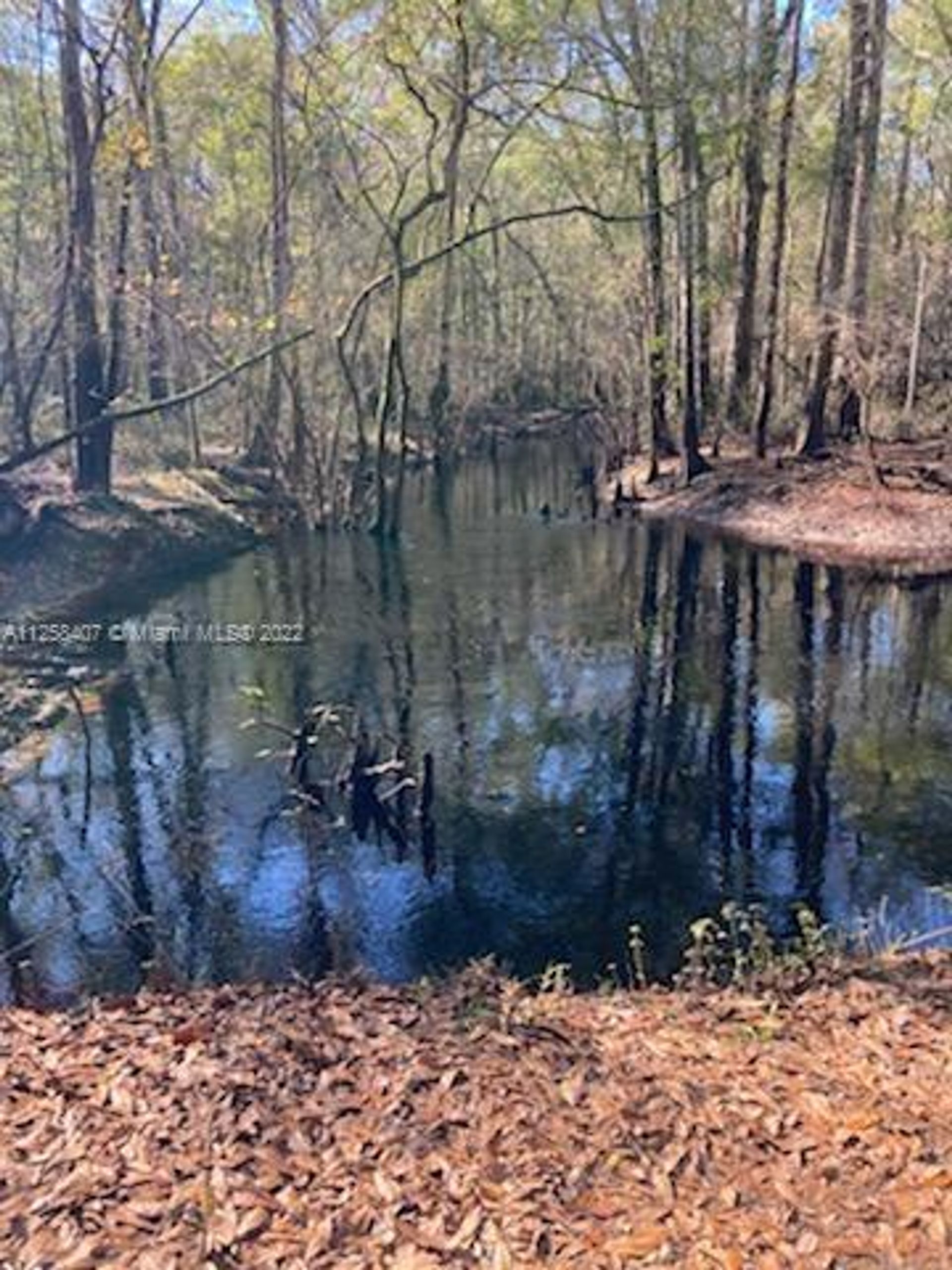 Land in Lake City, Florida 11621883