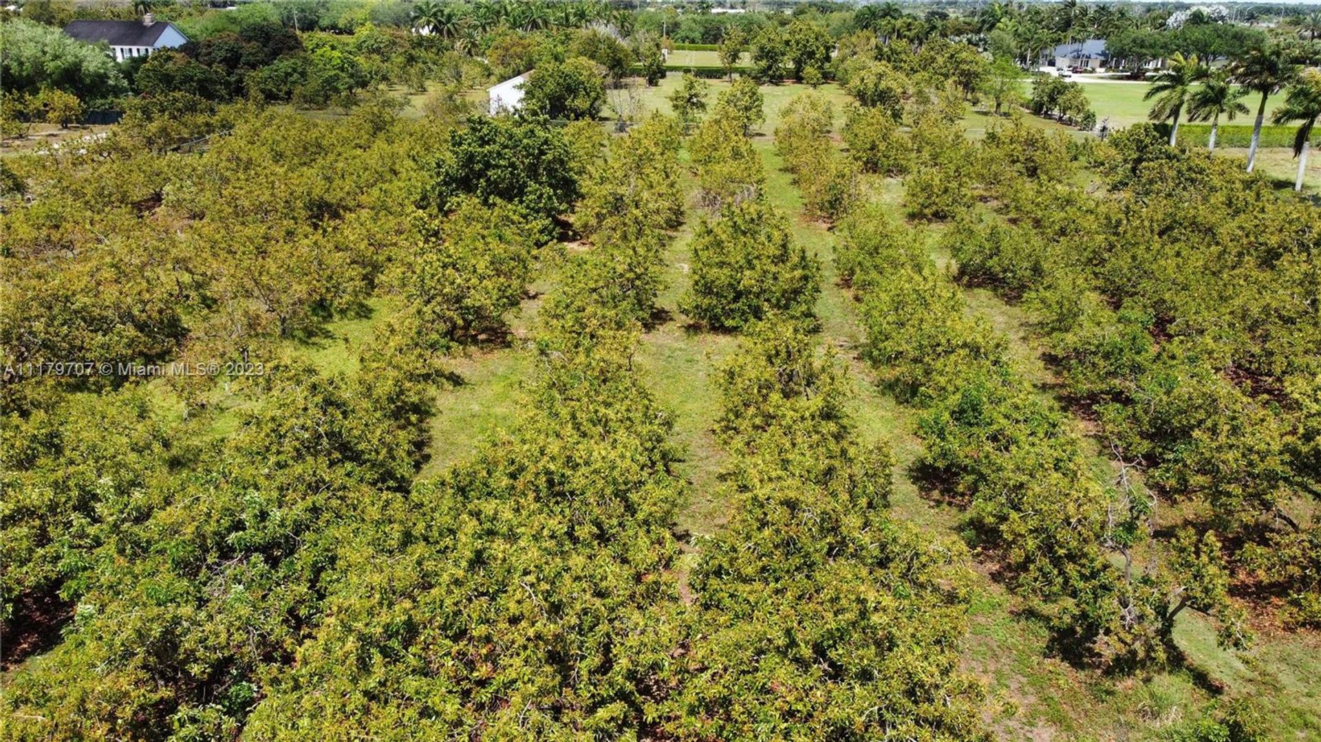 Casa nel Homestead, Florida 11621932