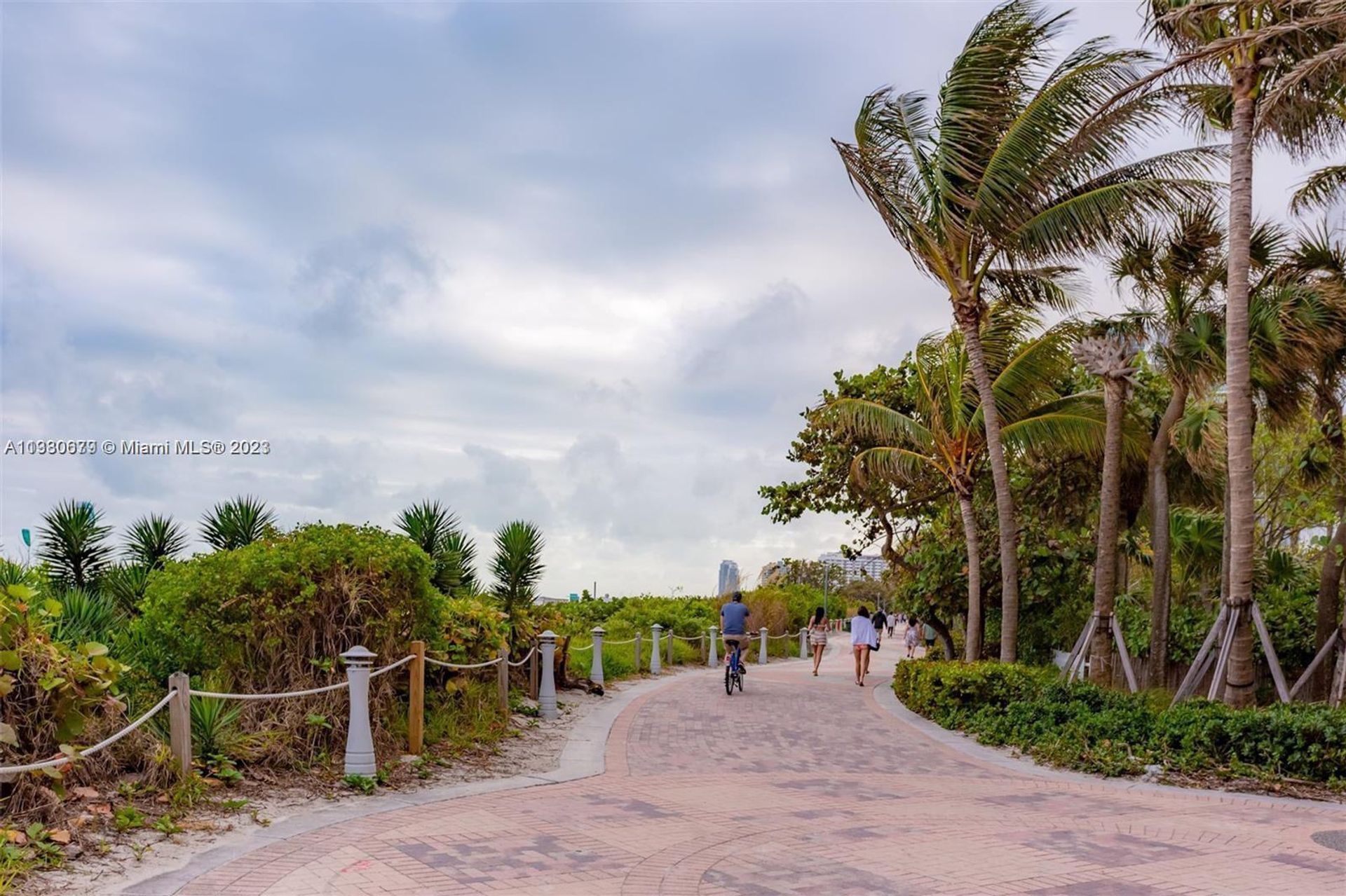 House in Miami Beach, Florida 11621953