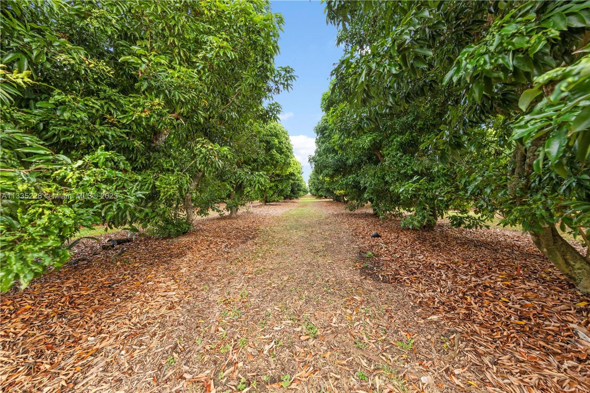 Talo sisään Homestead, Florida 11621954