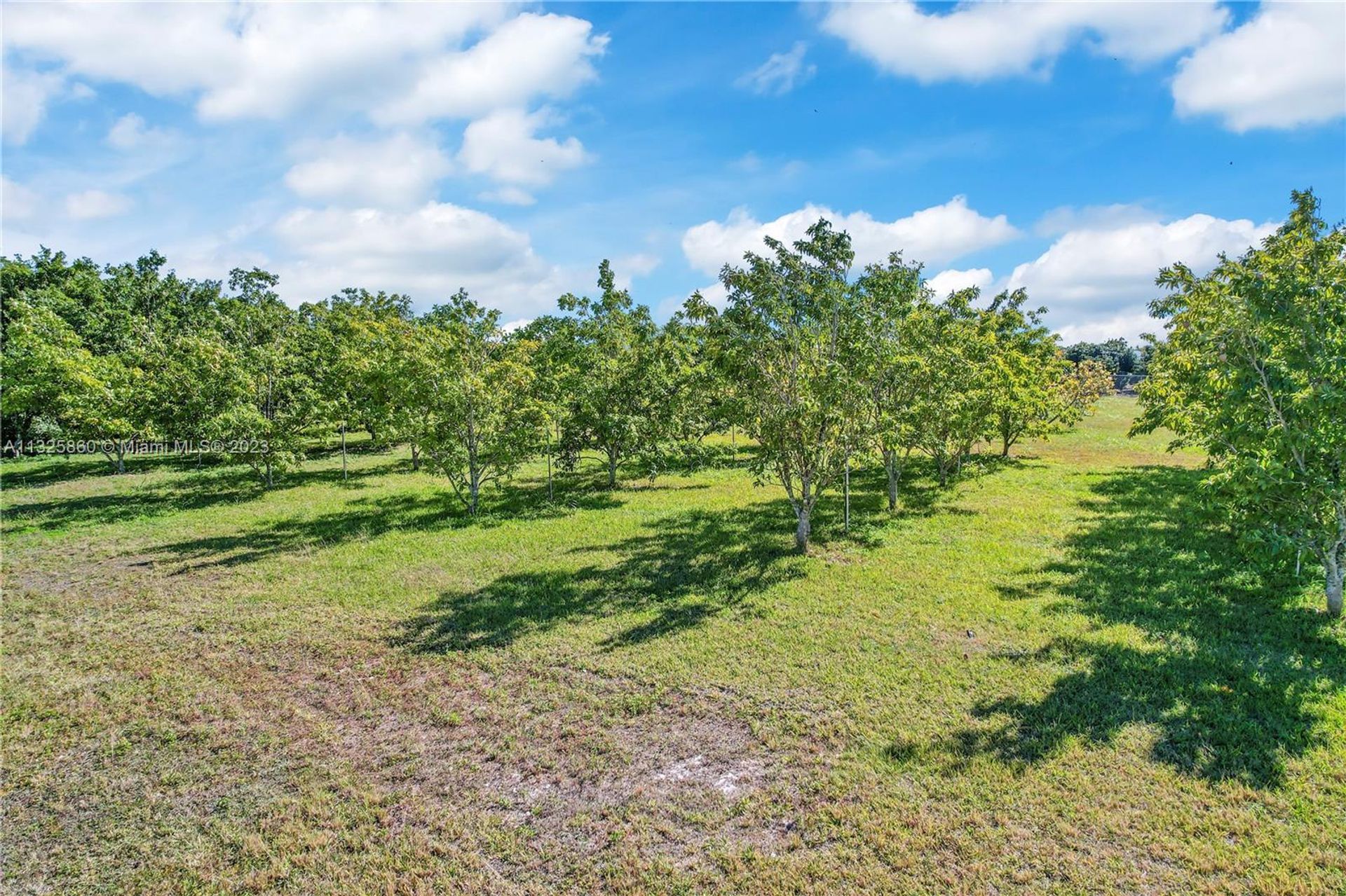 Rumah di Homestead, Florida 11621990